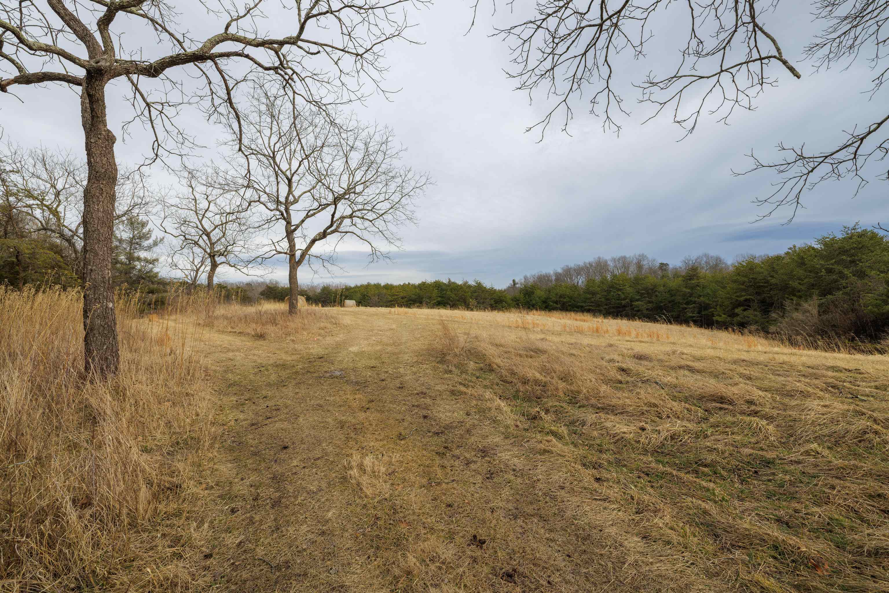 577 HAMMOND LN, STAUNTON, Virginia 24401, ,Land,577 HAMMOND LN,673745 MLS # 673745