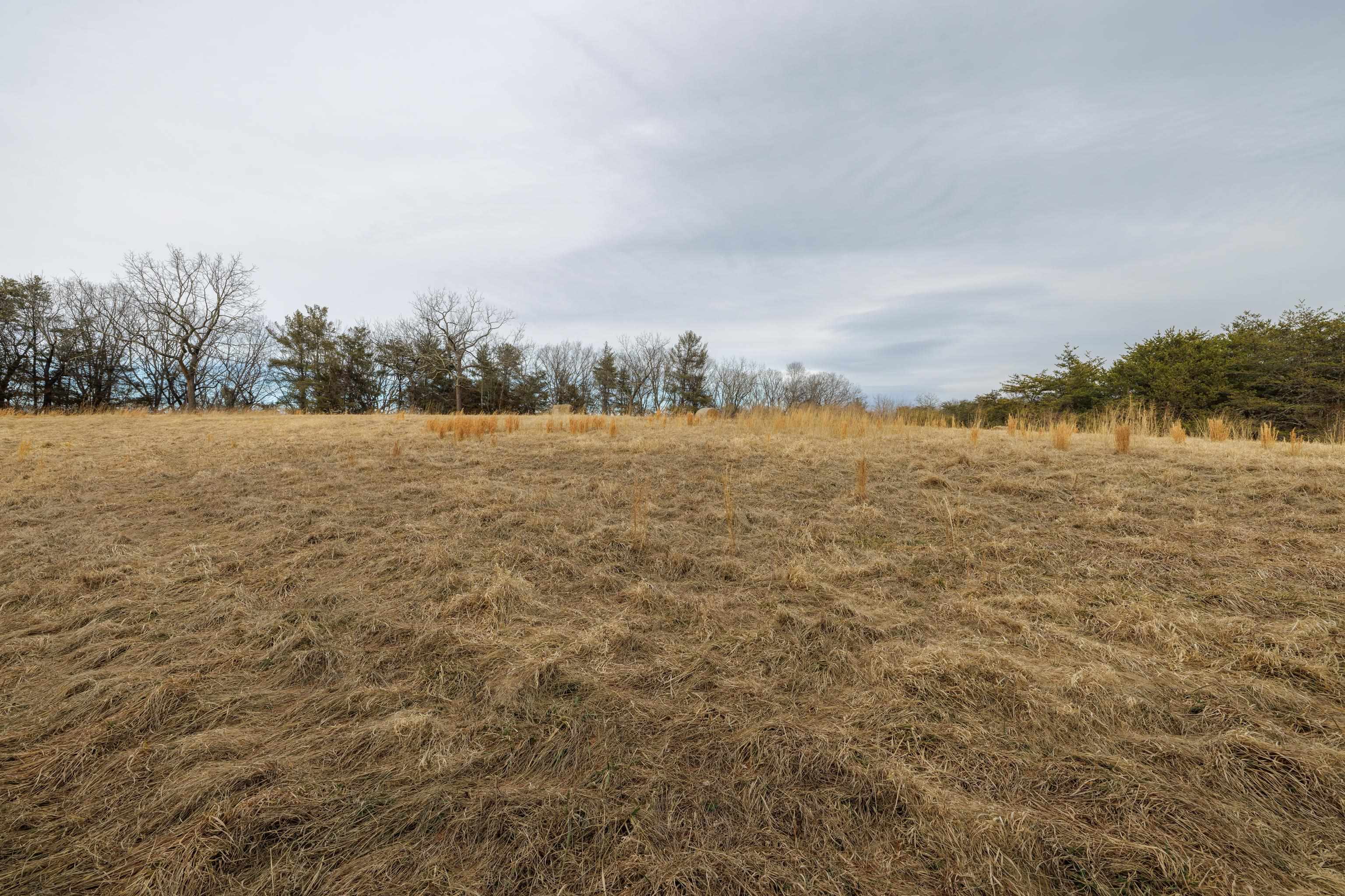 577 HAMMOND LN, STAUNTON, Virginia 24401, ,Land,577 HAMMOND LN,673745 MLS # 673745