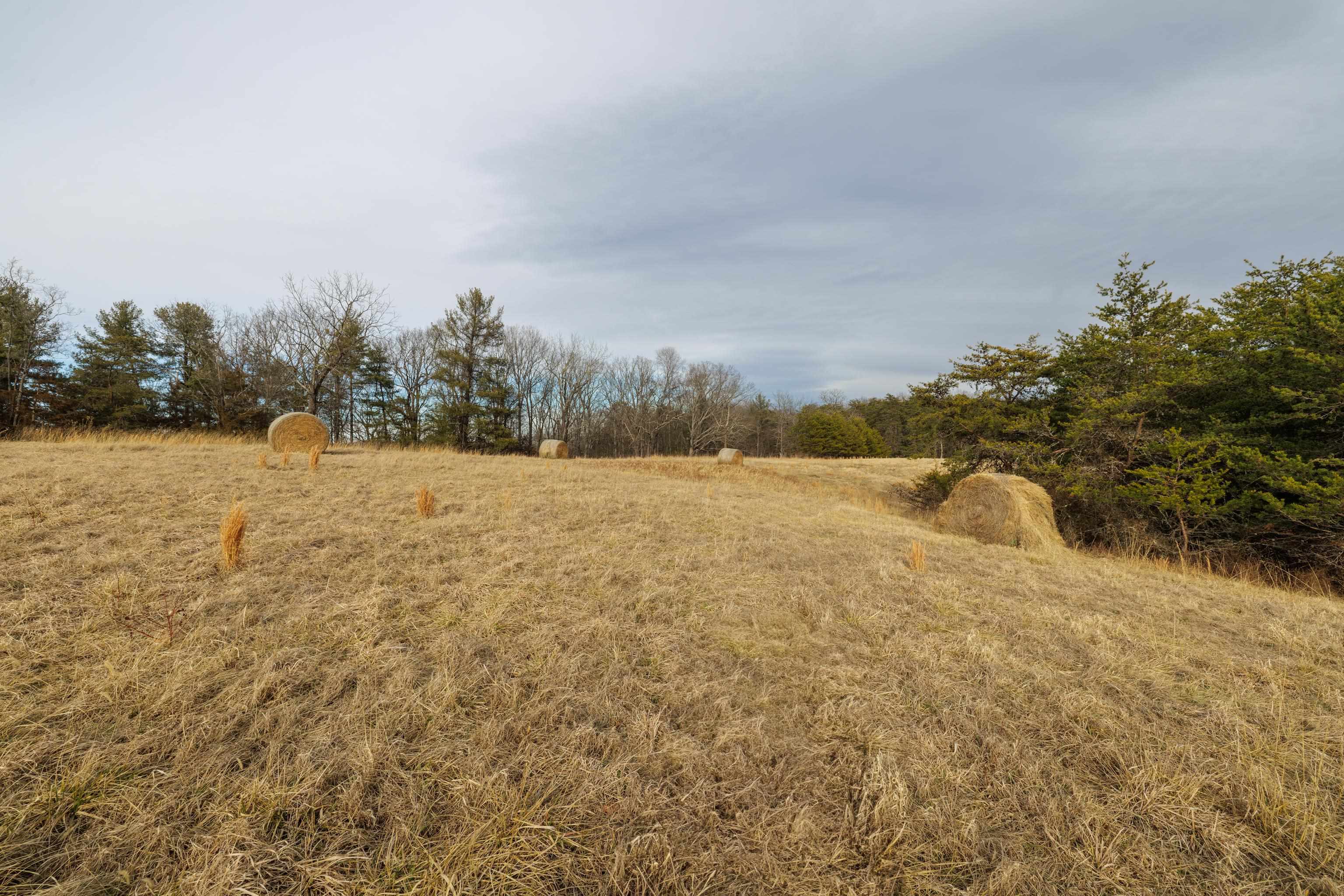 577 HAMMOND LN, STAUNTON, Virginia 24401, ,Land,577 HAMMOND LN,673745 MLS # 673745