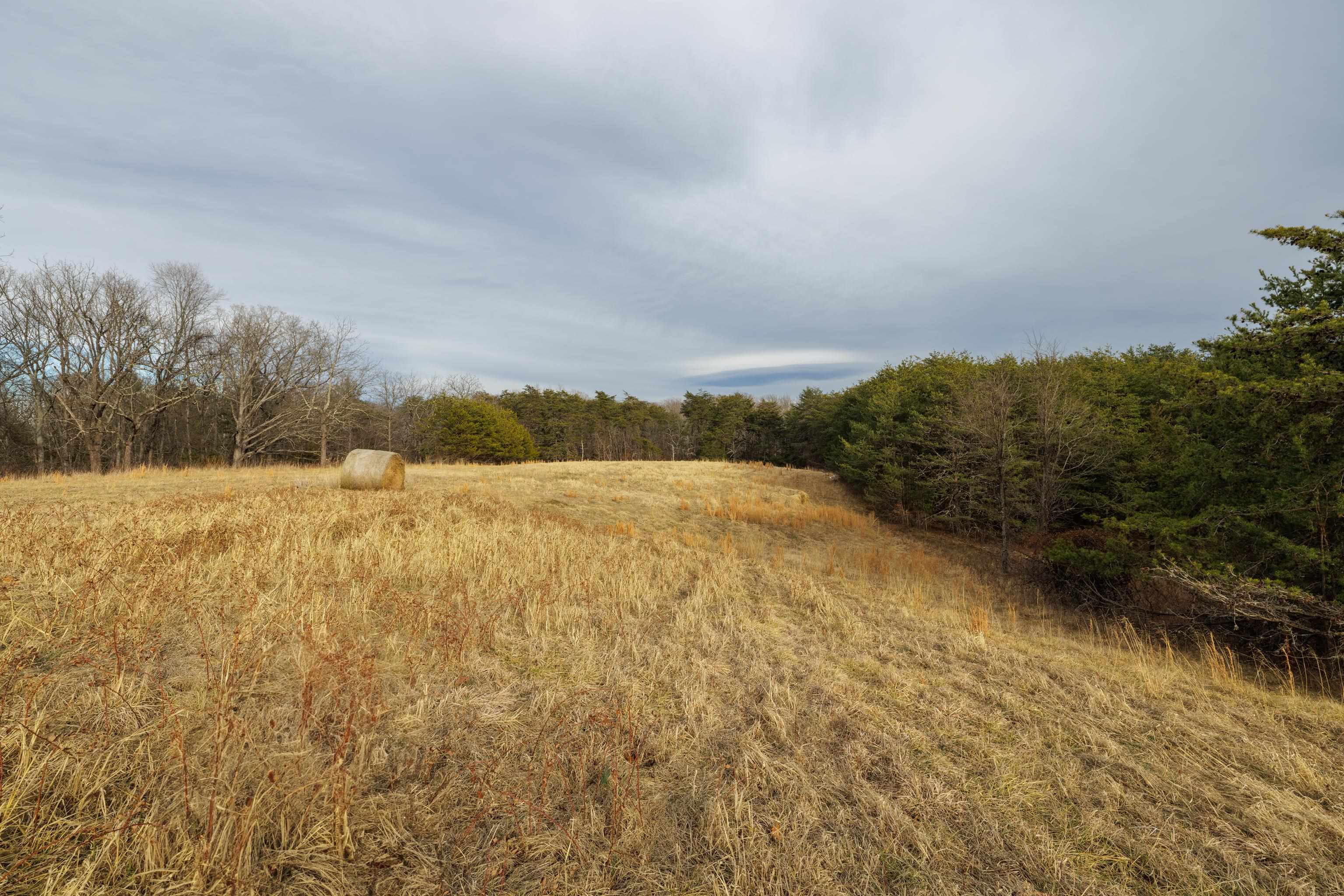 577 HAMMOND LN, STAUNTON, Virginia 24401, ,Land,577 HAMMOND LN,673745 MLS # 673745