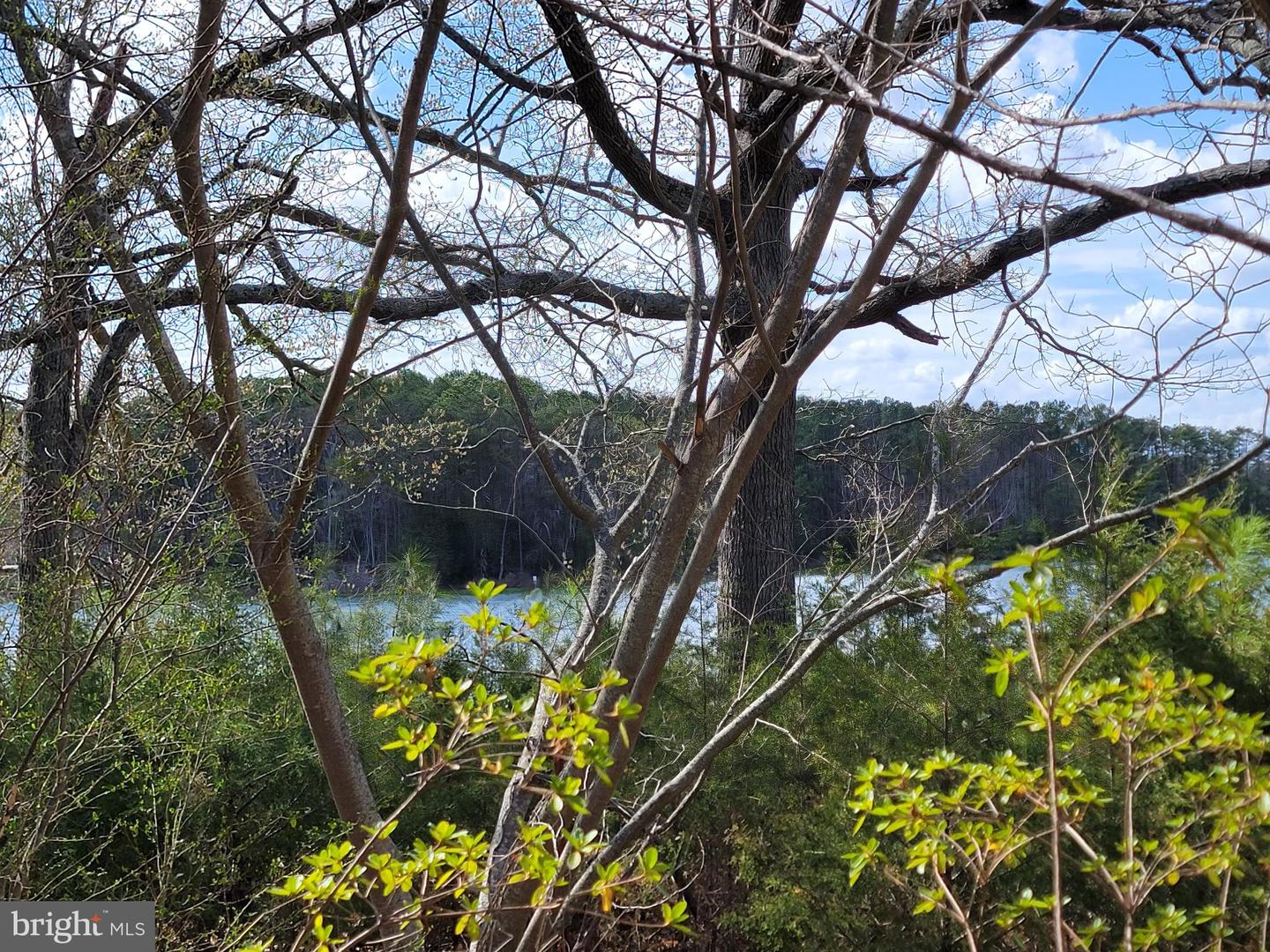 922 SKIPJACK RD, KINSALE, Virginia 22488, 2 Bedrooms Bedrooms, 5 Rooms Rooms,1 BathroomBathrooms,Residential,For sale,922 SKIPJACK RD,VAWE2008594 MLS # VAWE2008594 922 SKIPJACK RD, KINSALE, Virginia 22488, 2 Bedrooms Bedrooms, 5 Rooms Rooms,1 BathroomBathrooms,Residential,For sale,922 SKIPJACK RD,VAWE2008594 MLS # VAWE2008594