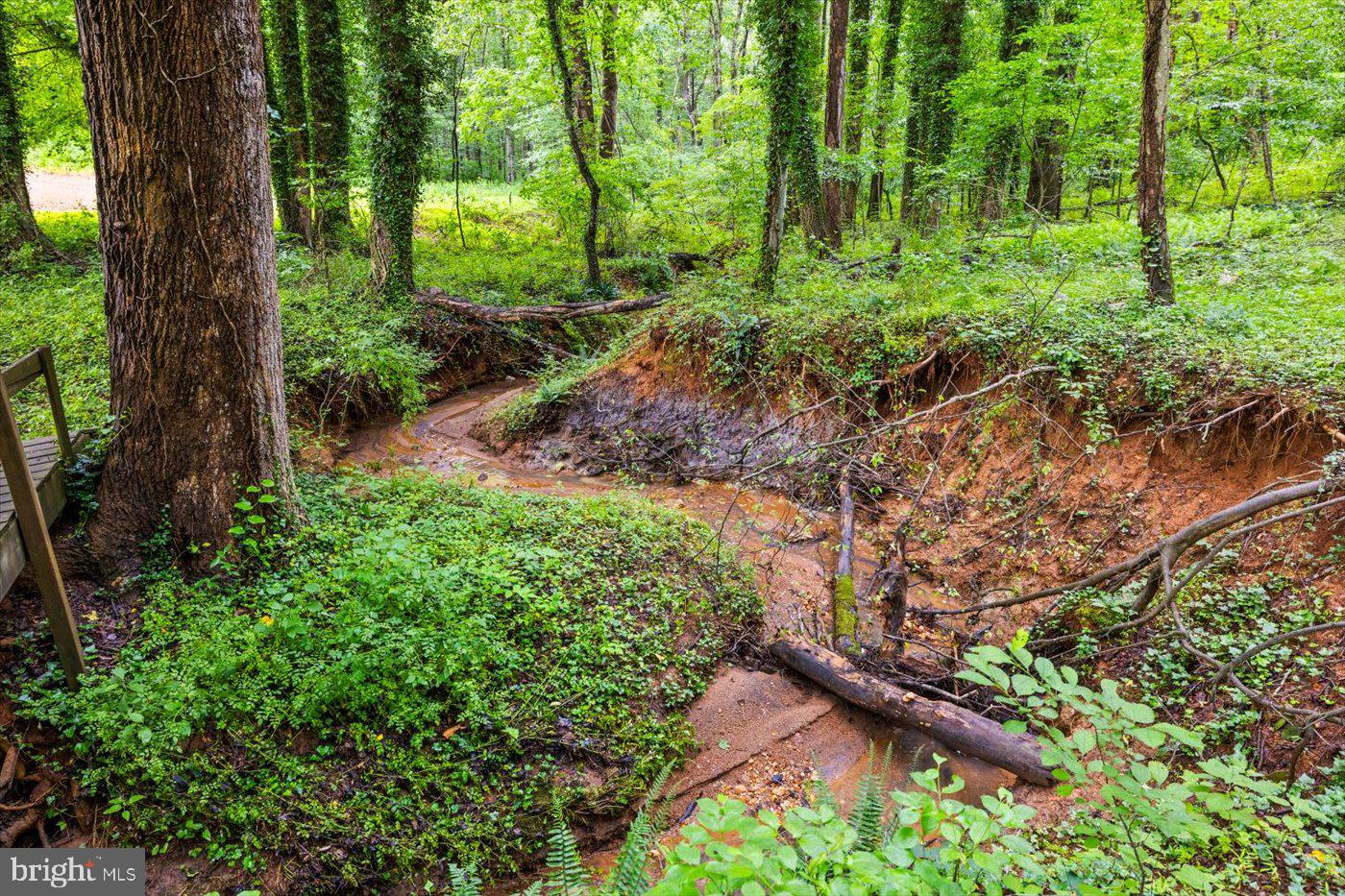 319 FOX HUNTERS LN, MADISON, Virginia 22727, 4 Bedrooms Bedrooms, ,2 BathroomsBathrooms,Residential,For sale,319 FOX HUNTERS LN,VAMA2002310 MLS # VAMA2002310