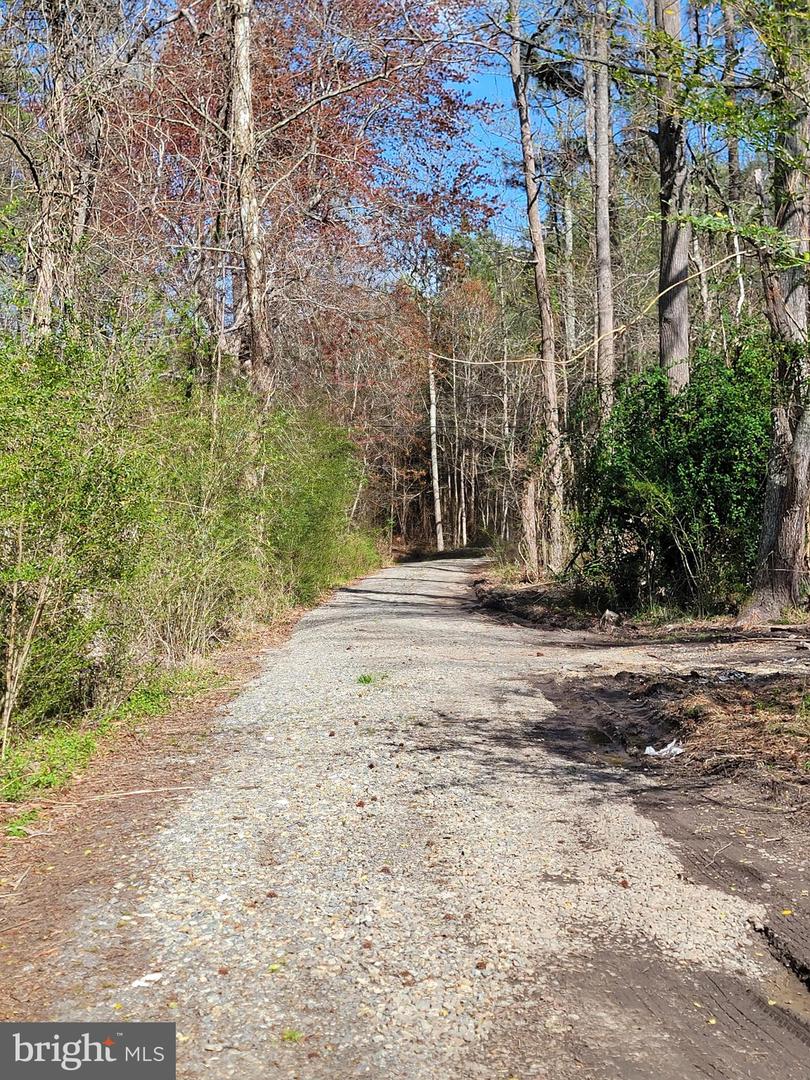 922 SKIPJACK RD, KINSALE, Virginia 22488, ,Land,For sale,922 SKIPJACK RD,VAWE2008632 MLS # VAWE2008632