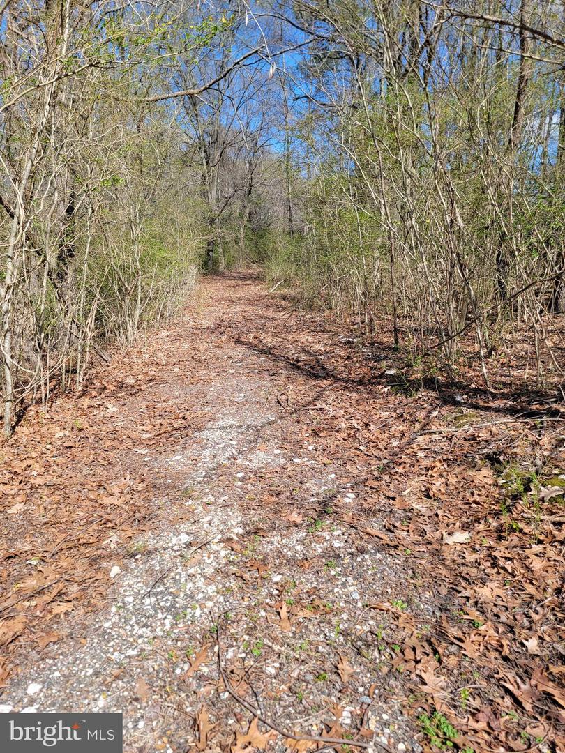 922 SKIPJACK RD, KINSALE, Virginia 22488, ,Land,For sale,922 SKIPJACK RD,VAWE2008632 MLS # VAWE2008632