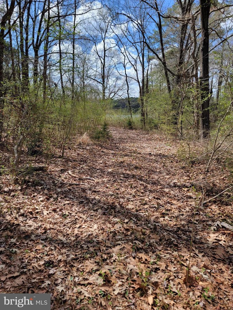 922 SKIPJACK RD, KINSALE, Virginia 22488, ,Land,For sale,922 SKIPJACK RD,VAWE2008632 MLS # VAWE2008632