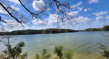 922 SKIPJACK RD, KINSALE, Virginia 22488, ,Land,For sale,922 SKIPJACK RD,VAWE2008632 MLS # VAWE2008632