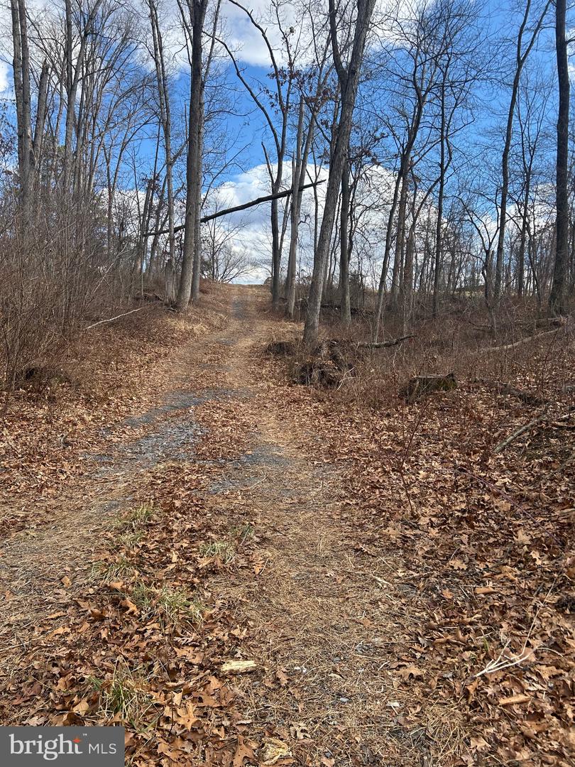 COPP ROAD, STRASBURG, Virginia 22641, ,Land,For sale,COPP ROAD,VASH2013464 MLS # VASH2013464