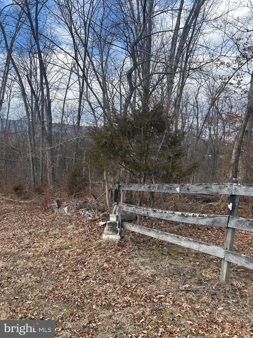COPP ROAD, STRASBURG, Virginia 22641, ,Land,For sale,COPP ROAD,VASH2013464 MLS # VASH2013464