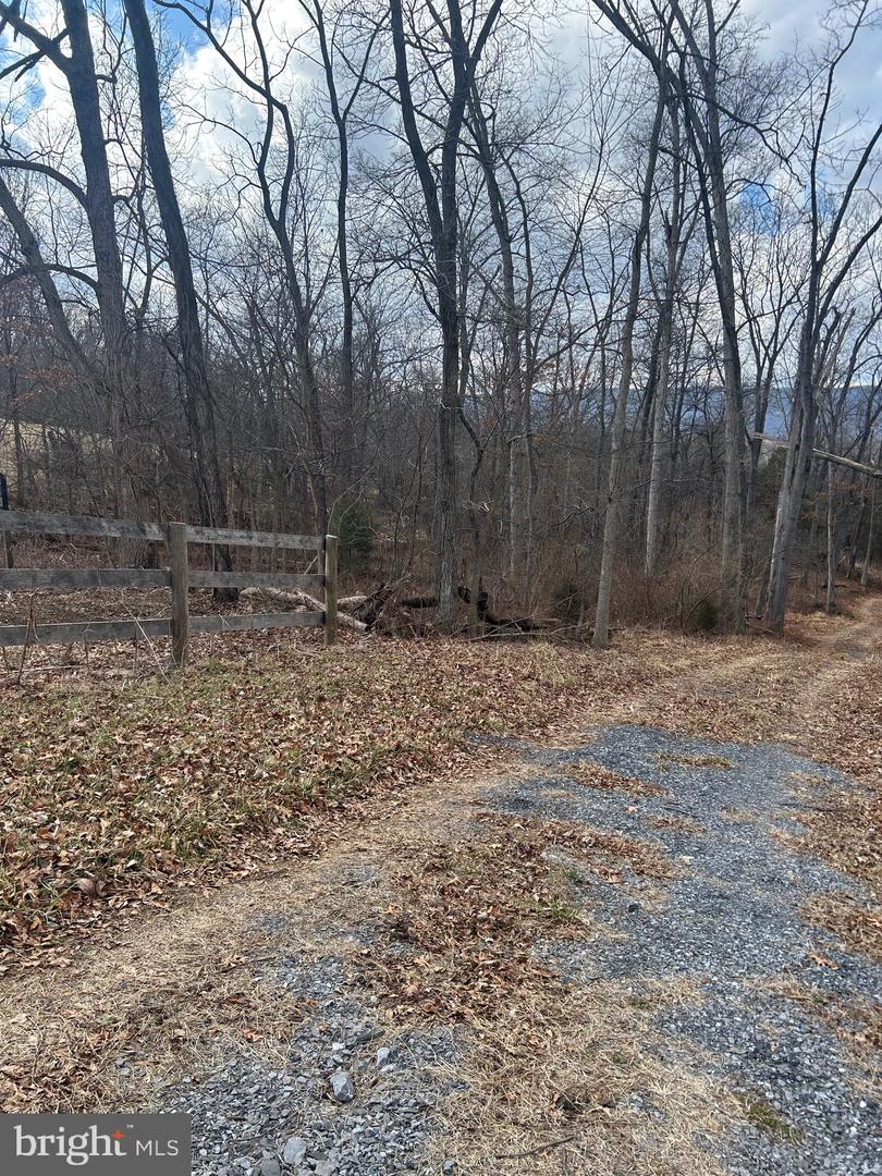 COPP ROAD, STRASBURG, Virginia 22641, ,Land,For sale,COPP ROAD,VASH2013464 MLS # VASH2013464