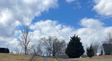 COPP ROAD, STRASBURG, Virginia 22641, ,Land,For sale,COPP ROAD,VASH2013464 MLS # VASH2013464