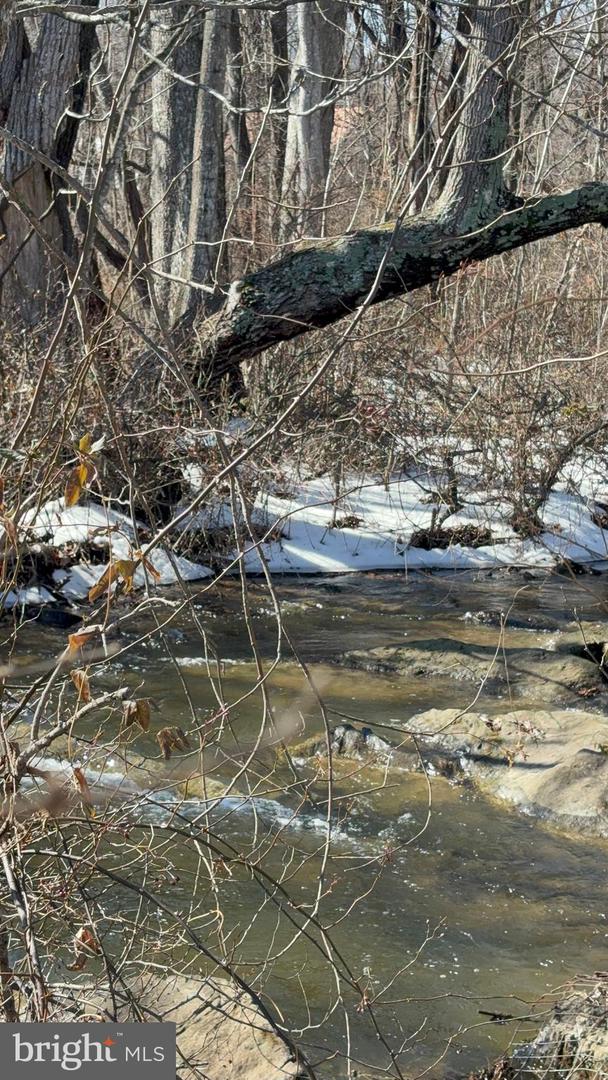 4080 FLAT ROCK RD, QUICKSBURG, Virginia 22847, ,Farm,For sale,4080 FLAT ROCK RD,VASH2013508 MLS # VASH2013508 4080 FLAT ROCK RD, QUICKSBURG, Virginia 22847, ,Farm,For sale,4080 FLAT ROCK RD,VASH2013508 MLS # VASH2013508