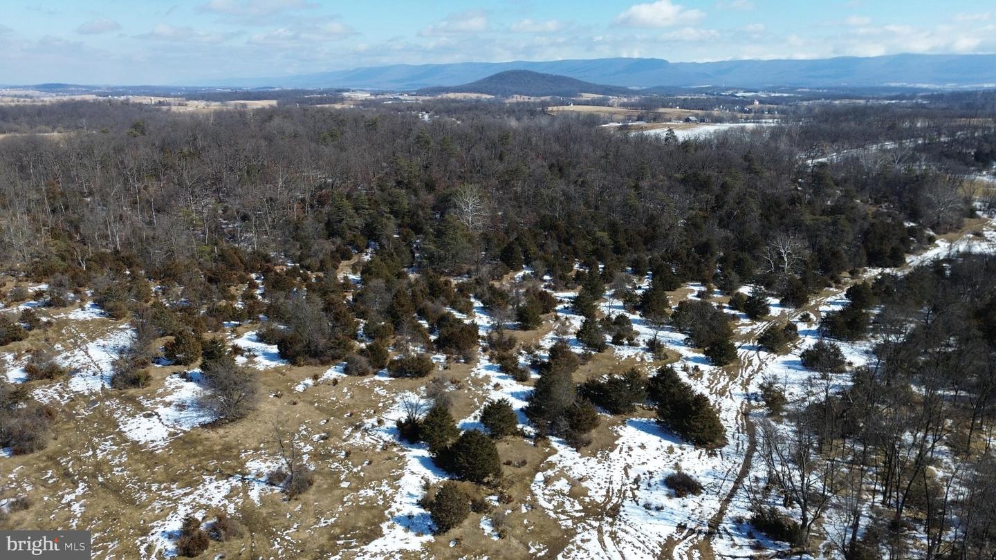 4080 FLAT ROCK RD, QUICKSBURG, Virginia 22847, ,Farm,For sale,4080 FLAT ROCK RD,VASH2013508 MLS # VASH2013508 4080 FLAT ROCK RD, QUICKSBURG, Virginia 22847, ,Farm,For sale,4080 FLAT ROCK RD,VASH2013508 MLS # VASH2013508