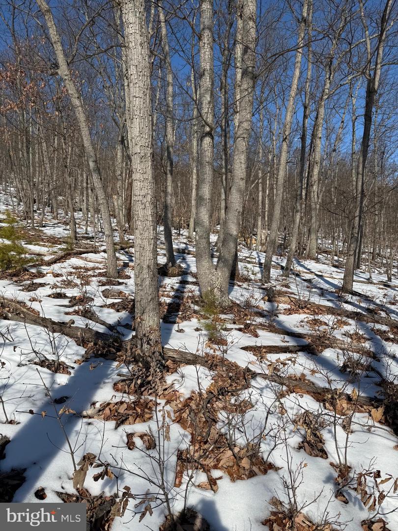 1706 MERCER RD, HAYMARKET, Virginia 20169, ,Land,For sale,1706 MERCER RD,VAPW2112822 MLS # VAPW2112822