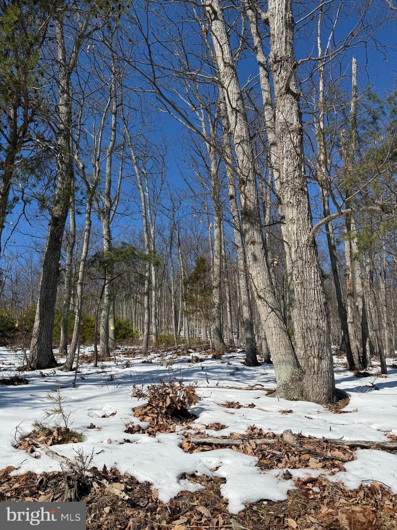 1706 MERCER RD, HAYMARKET, Virginia 20169, ,Land,For sale,1706 MERCER RD,VAPW2112822 MLS # VAPW2112822