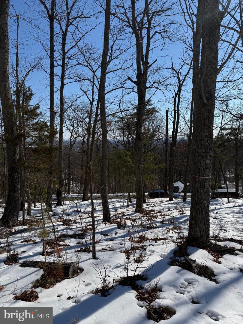 1706 MERCER RD, HAYMARKET, Virginia 20169, ,Land,For sale,1706 MERCER RD,VAPW2112822 MLS # VAPW2112822