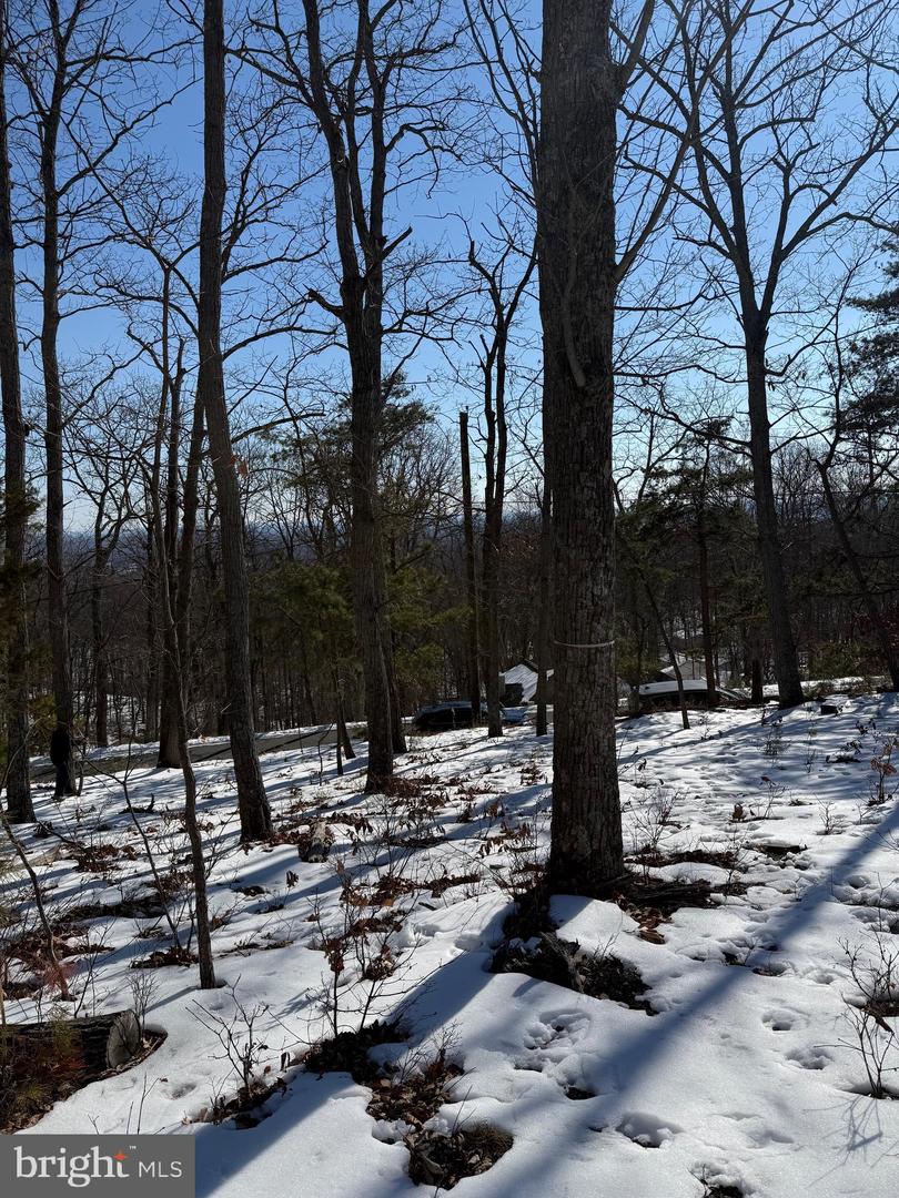 1706 MERCER RD, HAYMARKET, Virginia 20169, ,Land,For sale,1706 MERCER RD,VAPW2112822 MLS # VAPW2112822