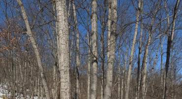 1706 MERCER RD, HAYMARKET, Virginia 20169, ,Land,For sale,1706 MERCER RD,VAPW2112822 MLS # VAPW2112822