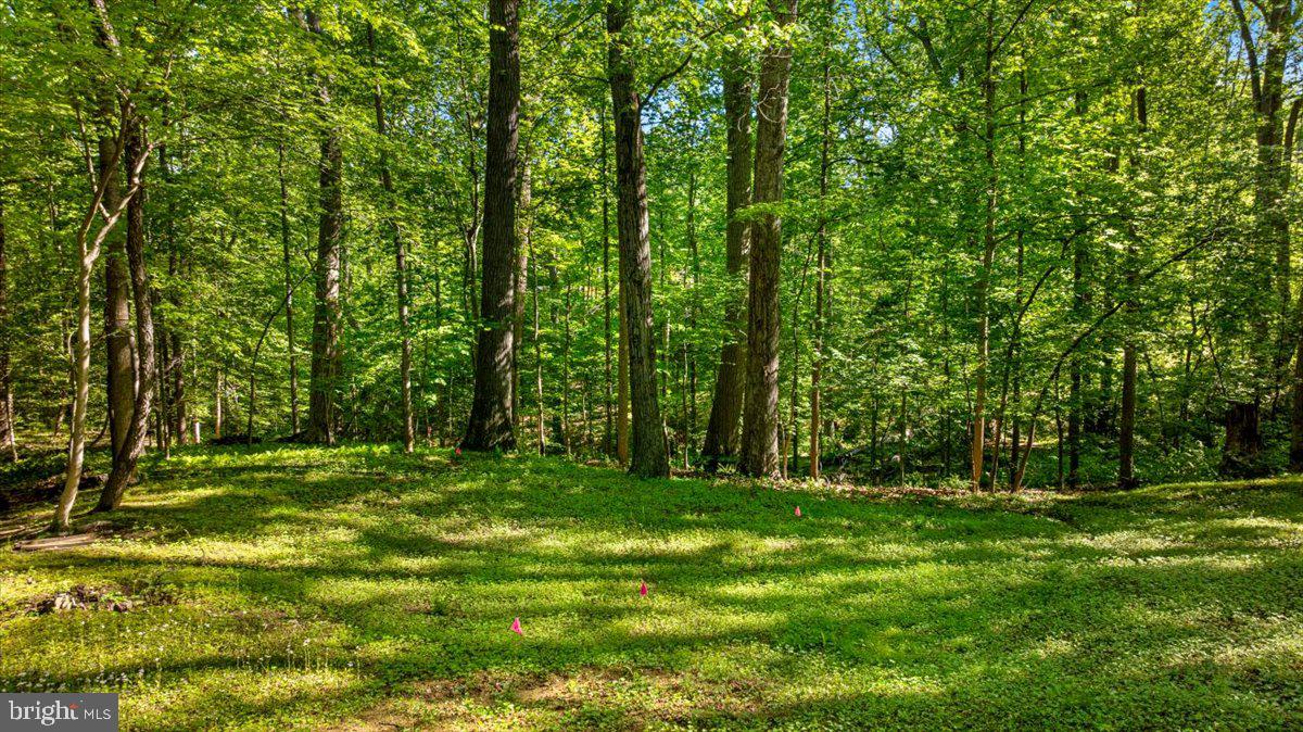 7818 GEORGETOWN PIKE, MCLEAN, Virginia 22102, ,Land,For sale,7818 GEORGETOWN PIKE,VAFX2292830 MLS # VAFX2292830