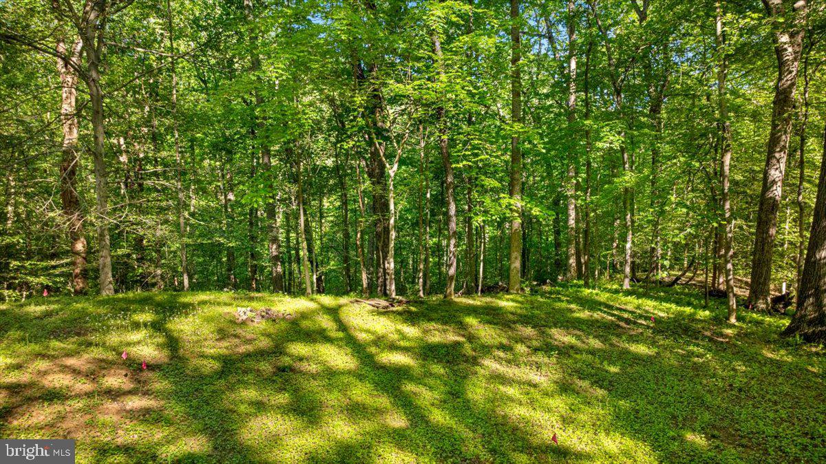 7818 GEORGETOWN PIKE, MCLEAN, Virginia 22102, ,Land,For sale,7818 GEORGETOWN PIKE,VAFX2292830 MLS # VAFX2292830