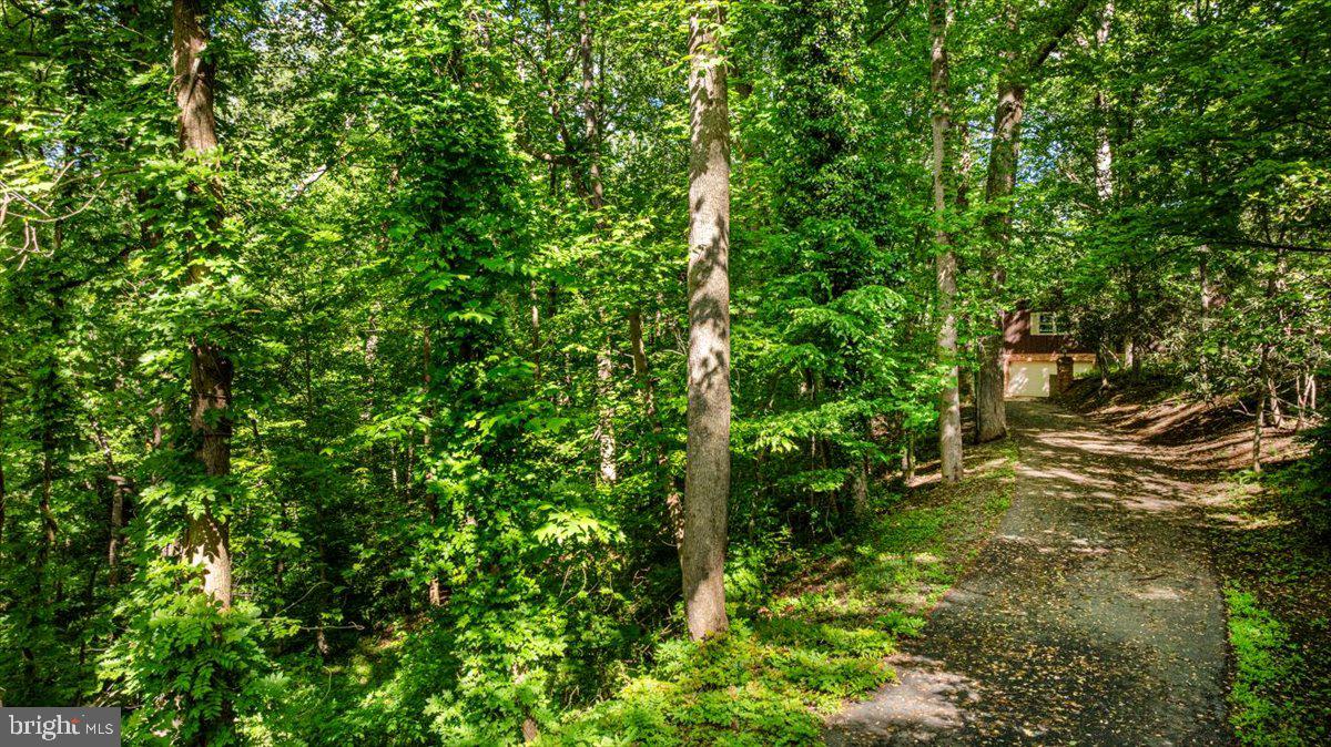 7818 GEORGETOWN PIKE, MCLEAN, Virginia 22102, ,Land,For sale,7818 GEORGETOWN PIKE,VAFX2292830 MLS # VAFX2292830