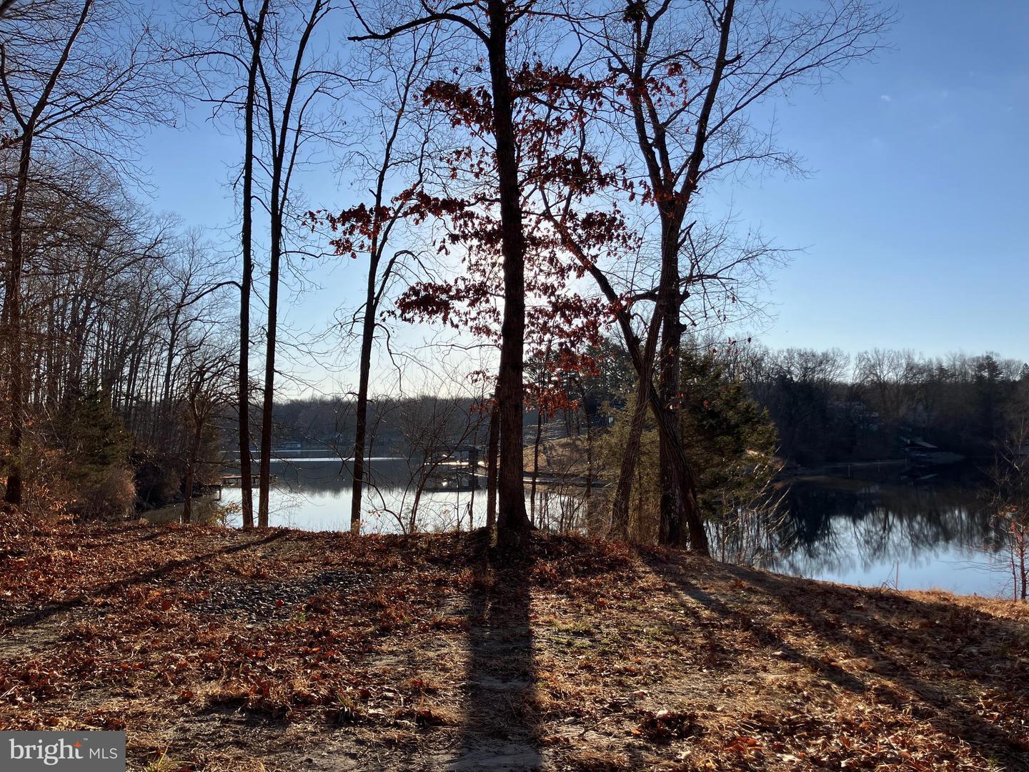 LOTS 1223 & 1224 N LAKESHORE DR, LOUISA, Virginia 23093, ,Land,For sale,LOTS 1223 & 1224 N LAKESHORE DR,VALA2009348 MLS # VALA2009348