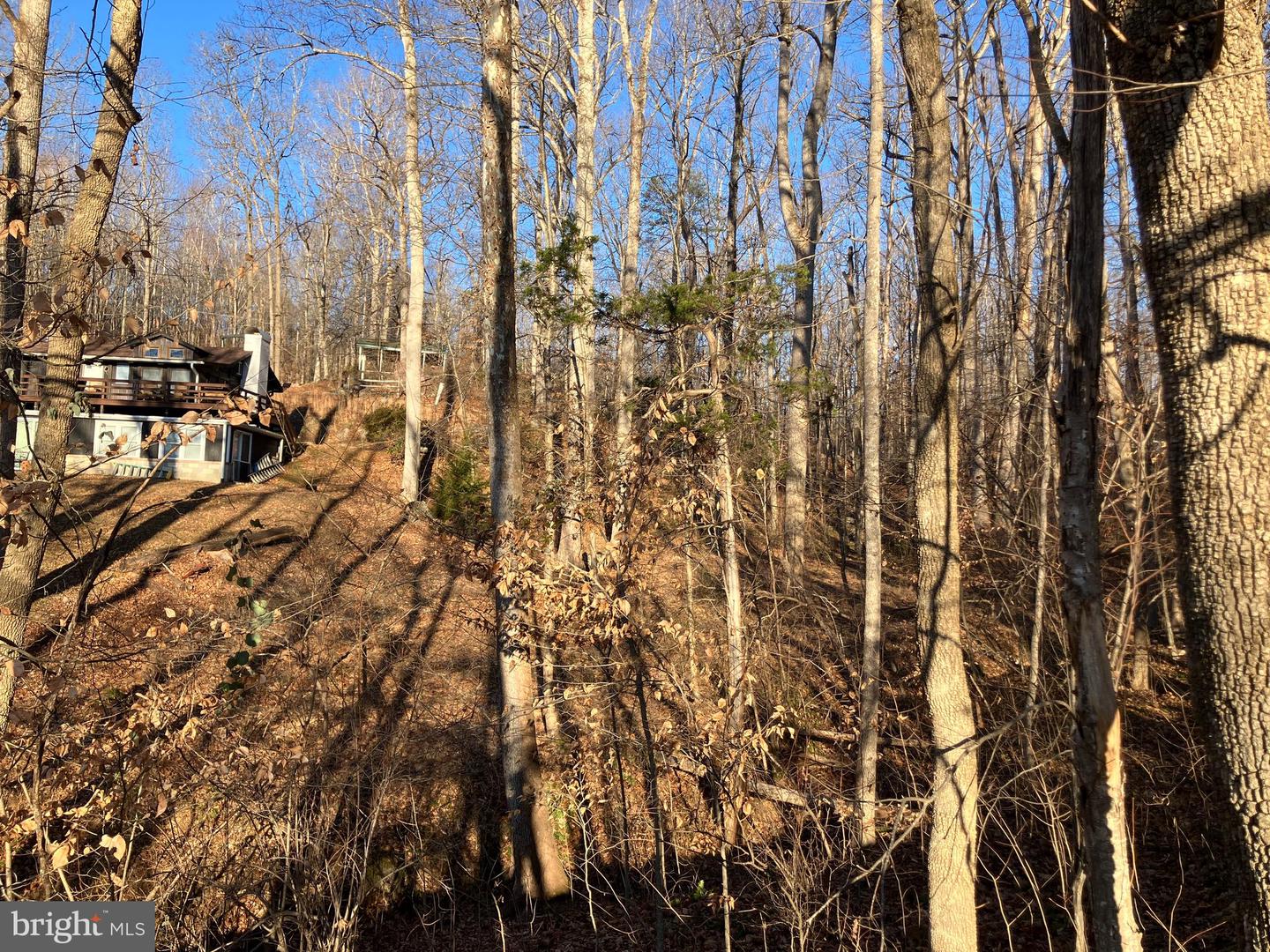 LOTS 1223 & 1224 N LAKESHORE DR, LOUISA, Virginia 23093, ,Land,For sale,LOTS 1223 & 1224 N LAKESHORE DR,VALA2009348 MLS # VALA2009348