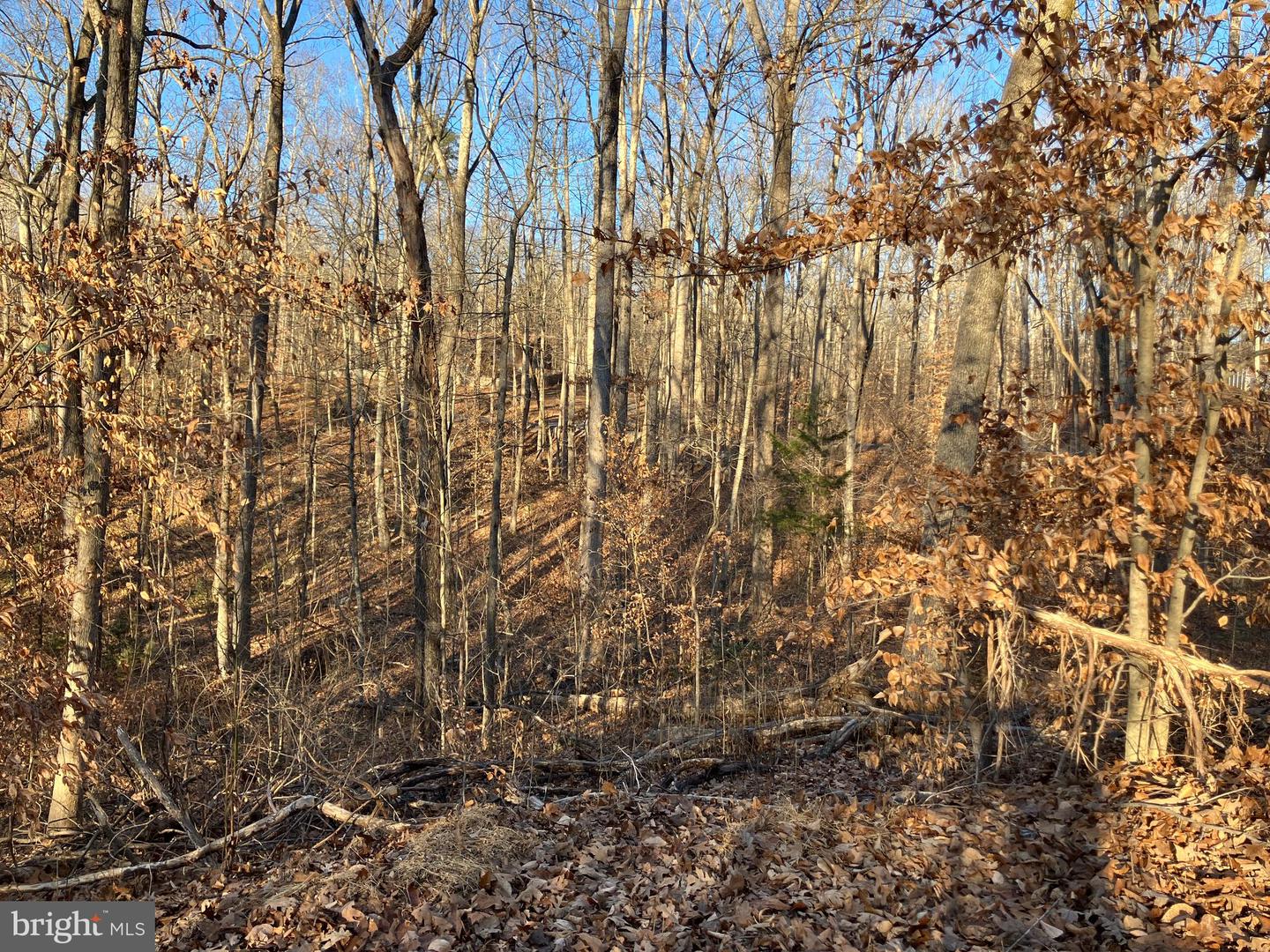 LOTS 1223 & 1224 N LAKESHORE DR, LOUISA, Virginia 23093, ,Land,For sale,LOTS 1223 & 1224 N LAKESHORE DR,VALA2009348 MLS # VALA2009348