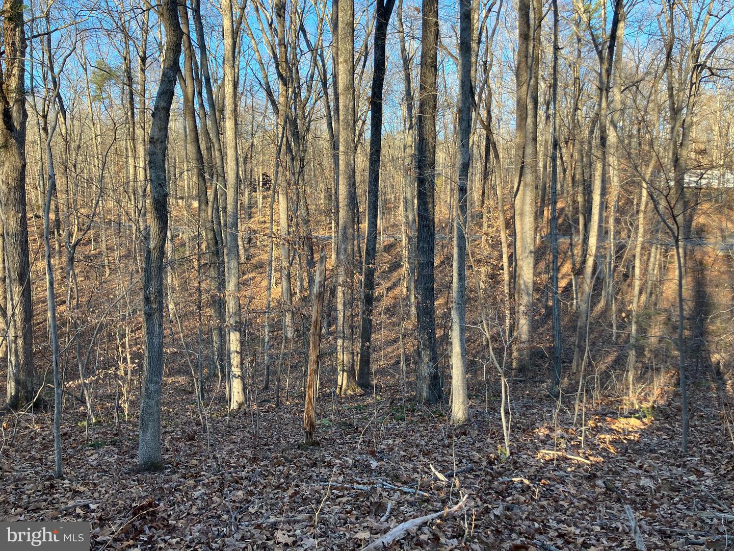 LOTS 1223 & 1224 N LAKESHORE DR, LOUISA, Virginia 23093, ,Land,For sale,LOTS 1223 & 1224 N LAKESHORE DR,VALA2009348 MLS # VALA2009348