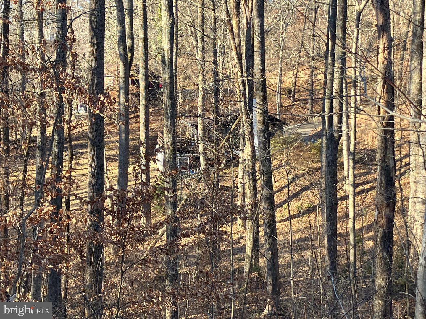 LOTS 1223 & 1224 N LAKESHORE DR, LOUISA, Virginia 23093, ,Land,For sale,LOTS 1223 & 1224 N LAKESHORE DR,VALA2009348 MLS # VALA2009348