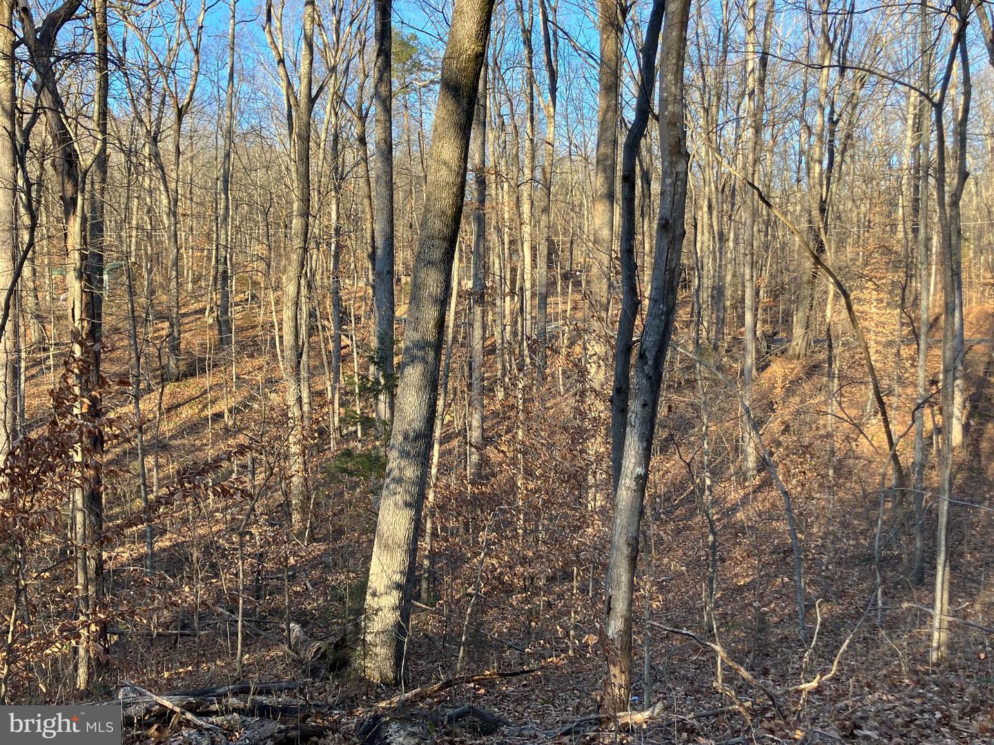 LOTS 1223 & 1224 N LAKESHORE DR, LOUISA, Virginia 23093, ,Land,For sale,LOTS 1223 & 1224 N LAKESHORE DR,VALA2009348 MLS # VALA2009348