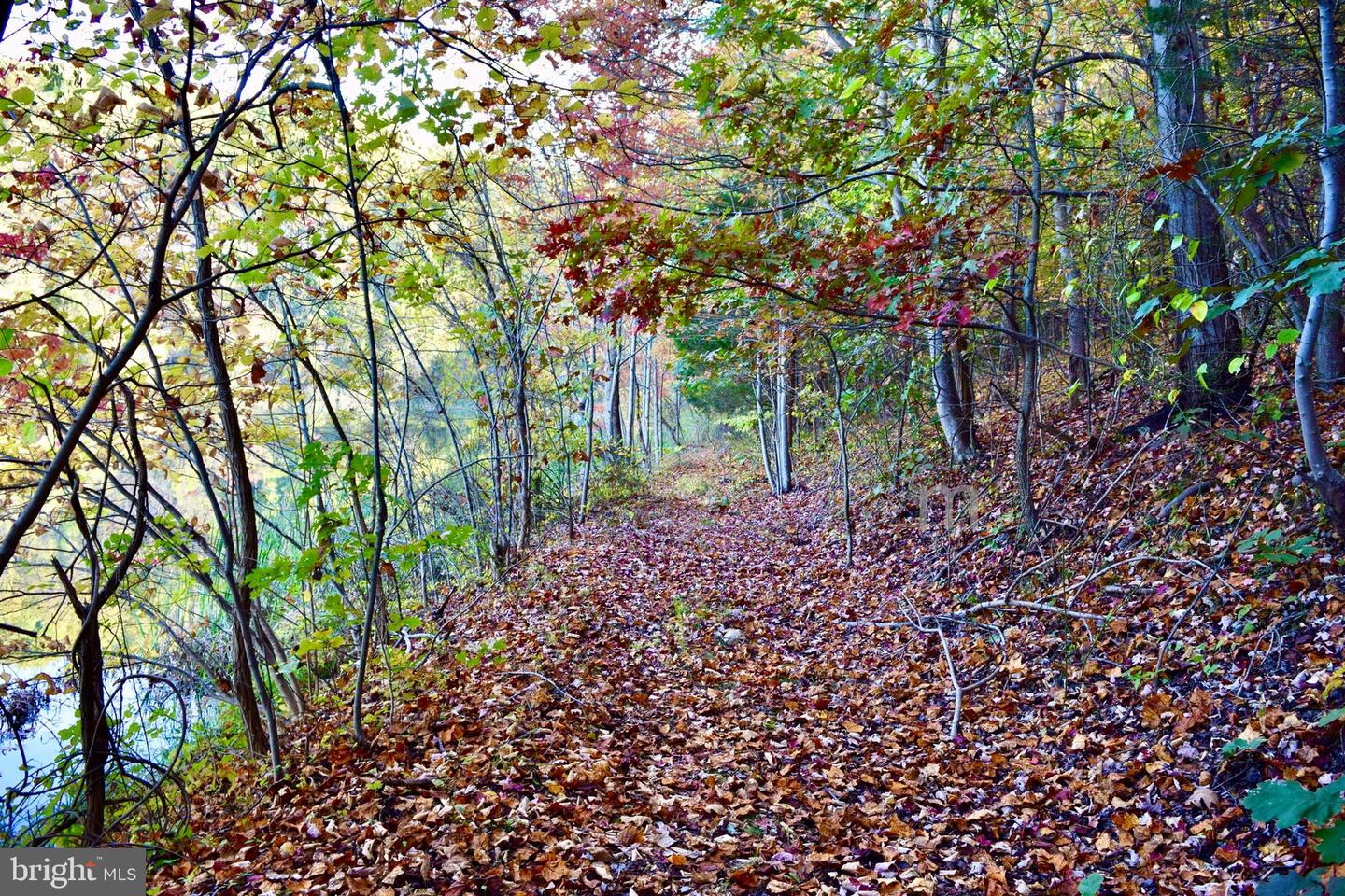 1200 OLD OAK LN, FRONT ROYAL, Virginia 22630, 3 Bedrooms Bedrooms, ,2 BathroomsBathrooms,Residential,For sale,1200 OLD OAK LN,VAWR2013024 MLS # VAWR2013024