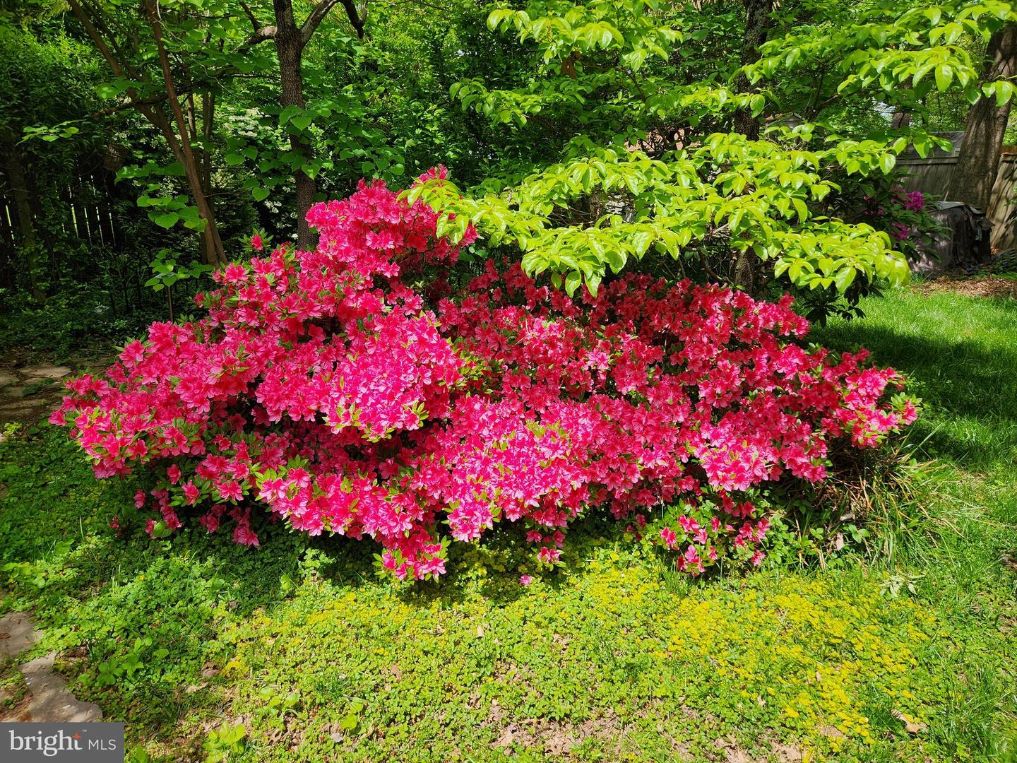 10416 MONTEROSA PL, MANASSAS, Virginia 20110, 4 Bedrooms Bedrooms, ,3 BathroomsBathrooms,Residential,For sale,10416 MONTEROSA PL,VAPW2110178 MLS # VAPW2110178