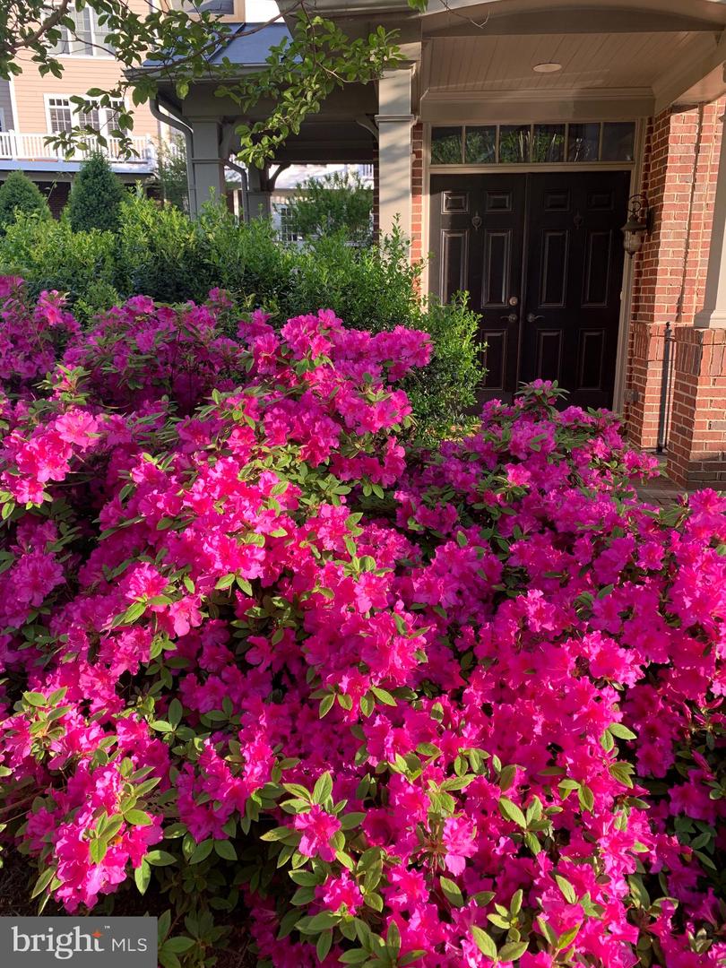 6739 DARRELLS GRANT PL, FALLS CHURCH, Virginia 22043, 3 Bedrooms Bedrooms, ,3 BathroomsBathrooms,Residential,For sale,6739 DARRELLS GRANT PL,VAFX2286716 MLS # VAFX2286716