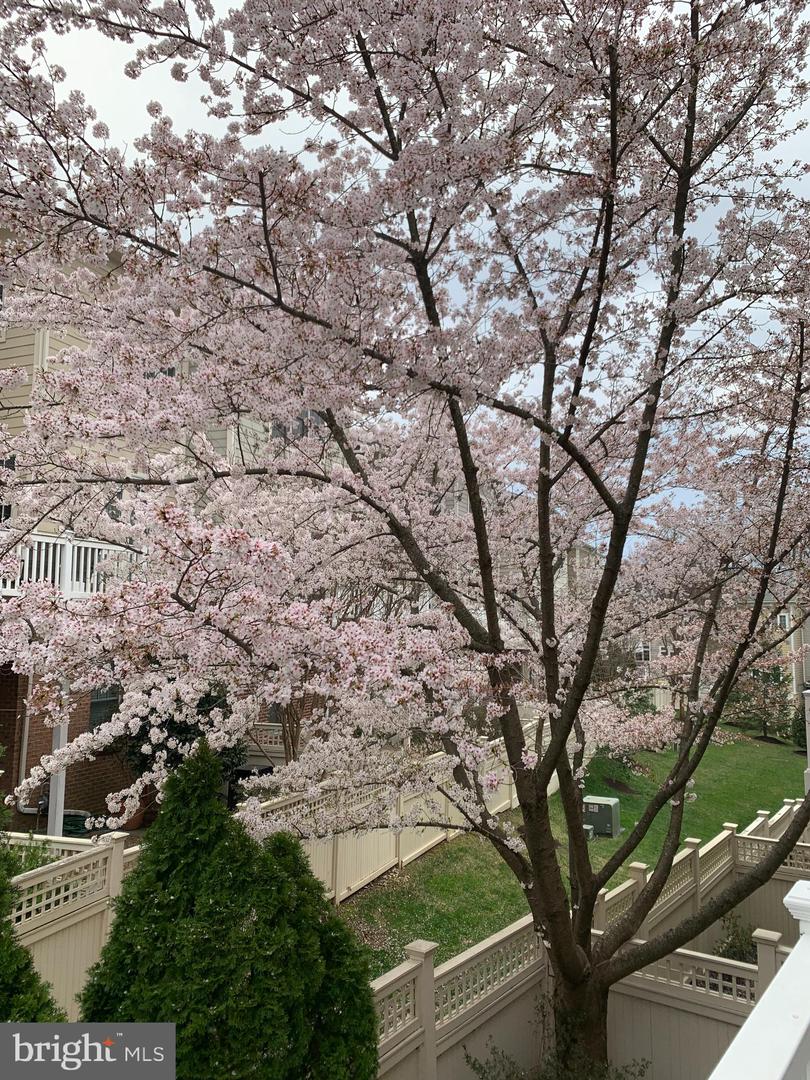 6739 DARRELLS GRANT PL, FALLS CHURCH, Virginia 22043, 3 Bedrooms Bedrooms, ,3 BathroomsBathrooms,Residential,For sale,6739 DARRELLS GRANT PL,VAFX2286716 MLS # VAFX2286716