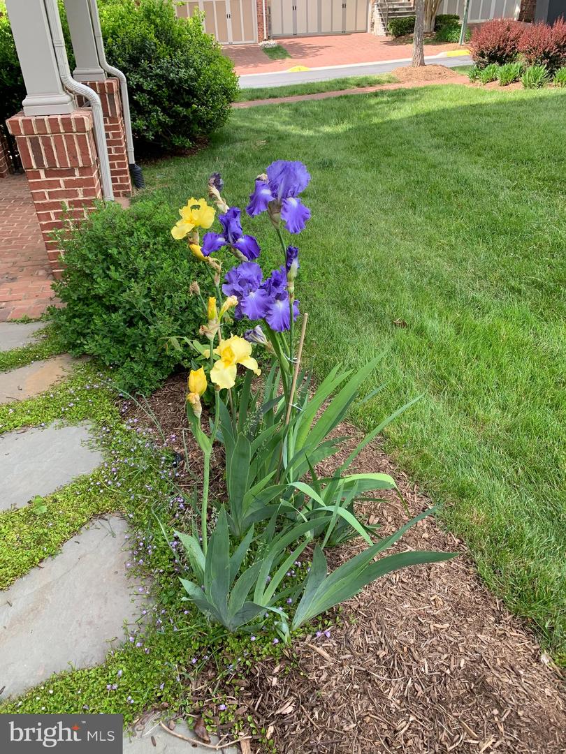 6739 DARRELLS GRANT PL, FALLS CHURCH, Virginia 22043, 3 Bedrooms Bedrooms, ,3 BathroomsBathrooms,Residential,For sale,6739 DARRELLS GRANT PL,VAFX2286716 MLS # VAFX2286716