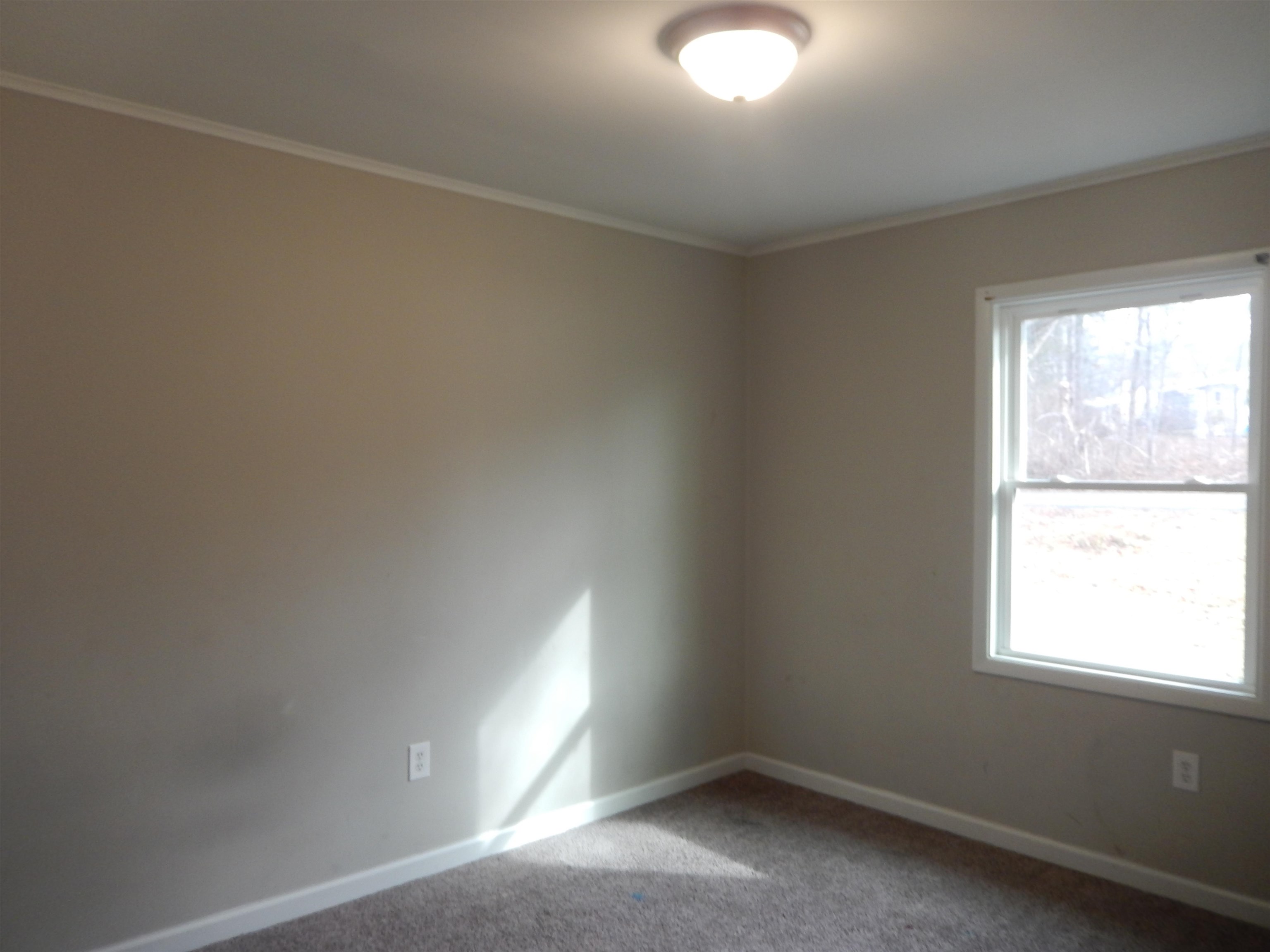 114 MARSHALL RD, MADISON, Virginia 22727, 3 Bedrooms Bedrooms, ,1 BathroomBathrooms,Residential,Carrington #4001215196,114 MARSHALL RD,673723 MLS # 673723 114 MARSHALL RD, MADISON, Virginia 22727, 3 Bedrooms Bedrooms, ,1 BathroomBathrooms,Residential,Carrington #4001215196,114 MARSHALL RD,673723 MLS # 673723