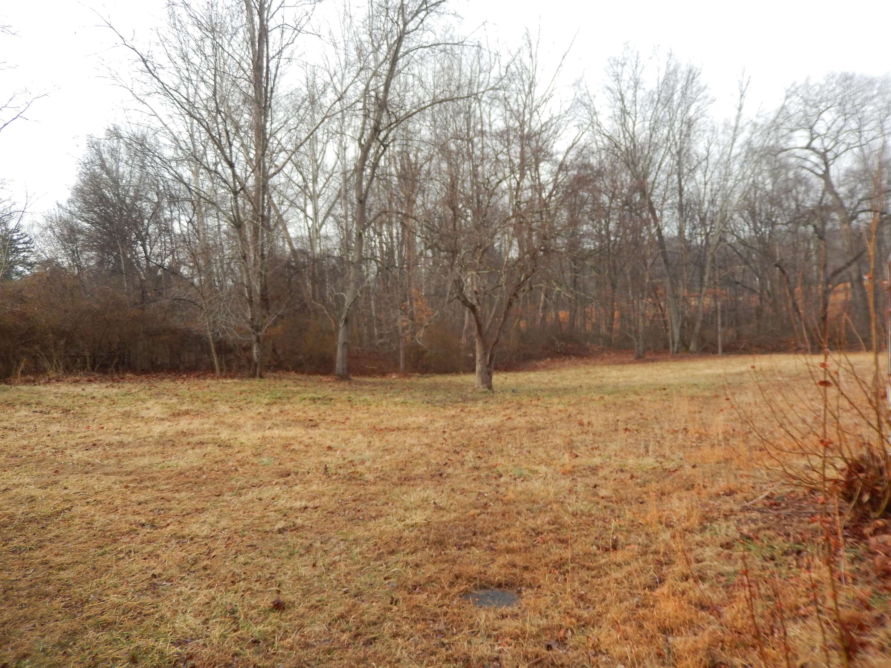 114 MARSHALL RD, MADISON, Virginia 22727, 3 Bedrooms Bedrooms, ,1 BathroomBathrooms,Residential,Carrington #4001215196,114 MARSHALL RD,673723 MLS # 673723 114 MARSHALL RD, MADISON, Virginia 22727, 3 Bedrooms Bedrooms, ,1 BathroomBathrooms,Residential,Carrington #4001215196,114 MARSHALL RD,673723 MLS # 673723