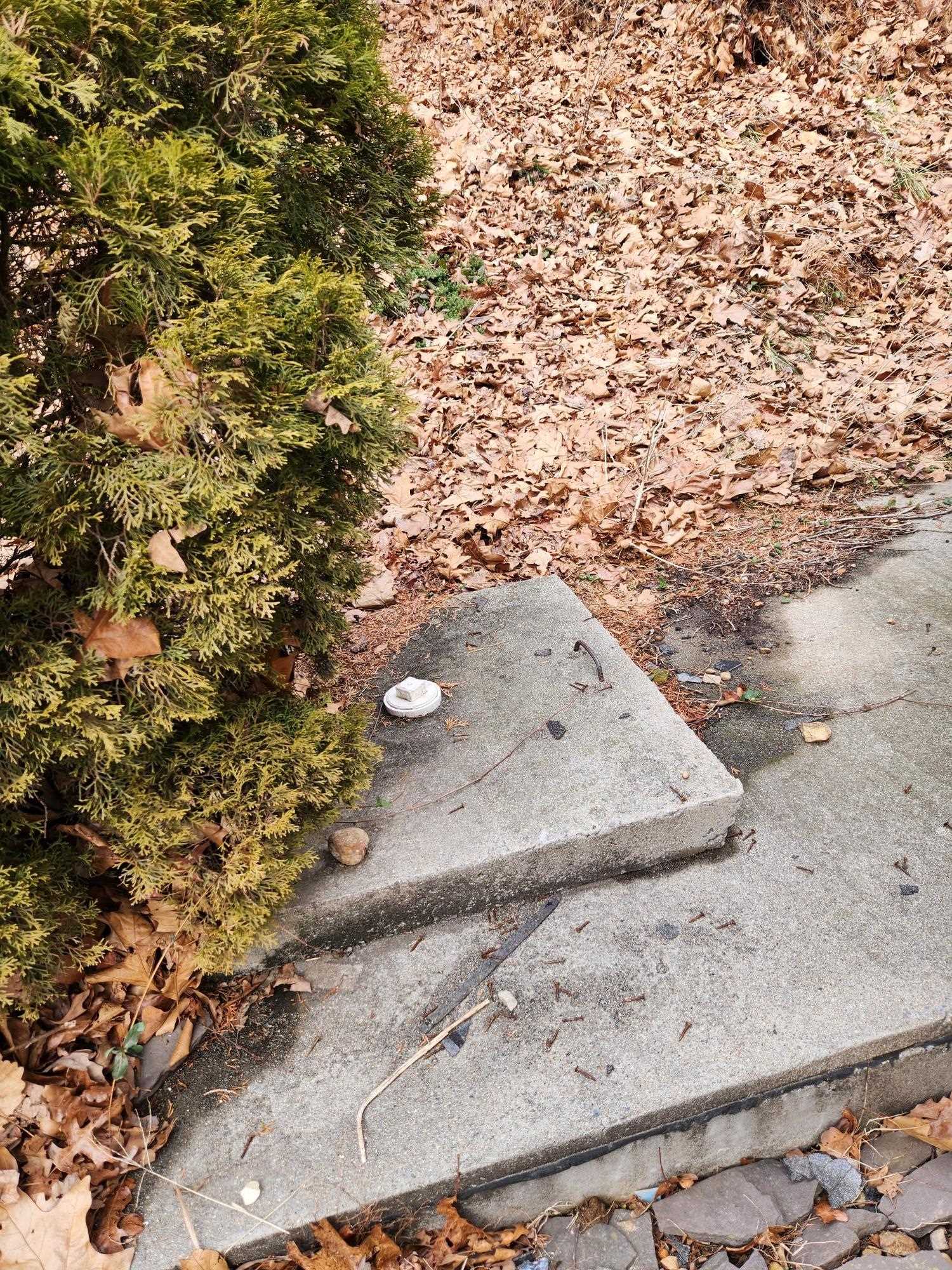 51 MARSHALL LN, GREENVILLE, Virginia 24440, 3 Bedrooms Bedrooms, ,2 BathroomsBathrooms,Residential,51 MARSHALL LN,673729 MLS # 673729