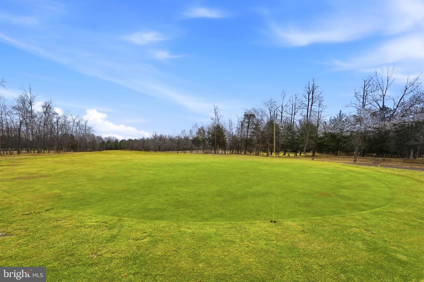 22801 TAWNY PINE SQ, BRAMBLETON, Virginia 20148, 4 Bedrooms Bedrooms, ,3 BathroomsBathrooms,Residential,For sale,22801 TAWNY PINE SQ,VALO2114796 MLS # VALO2114796