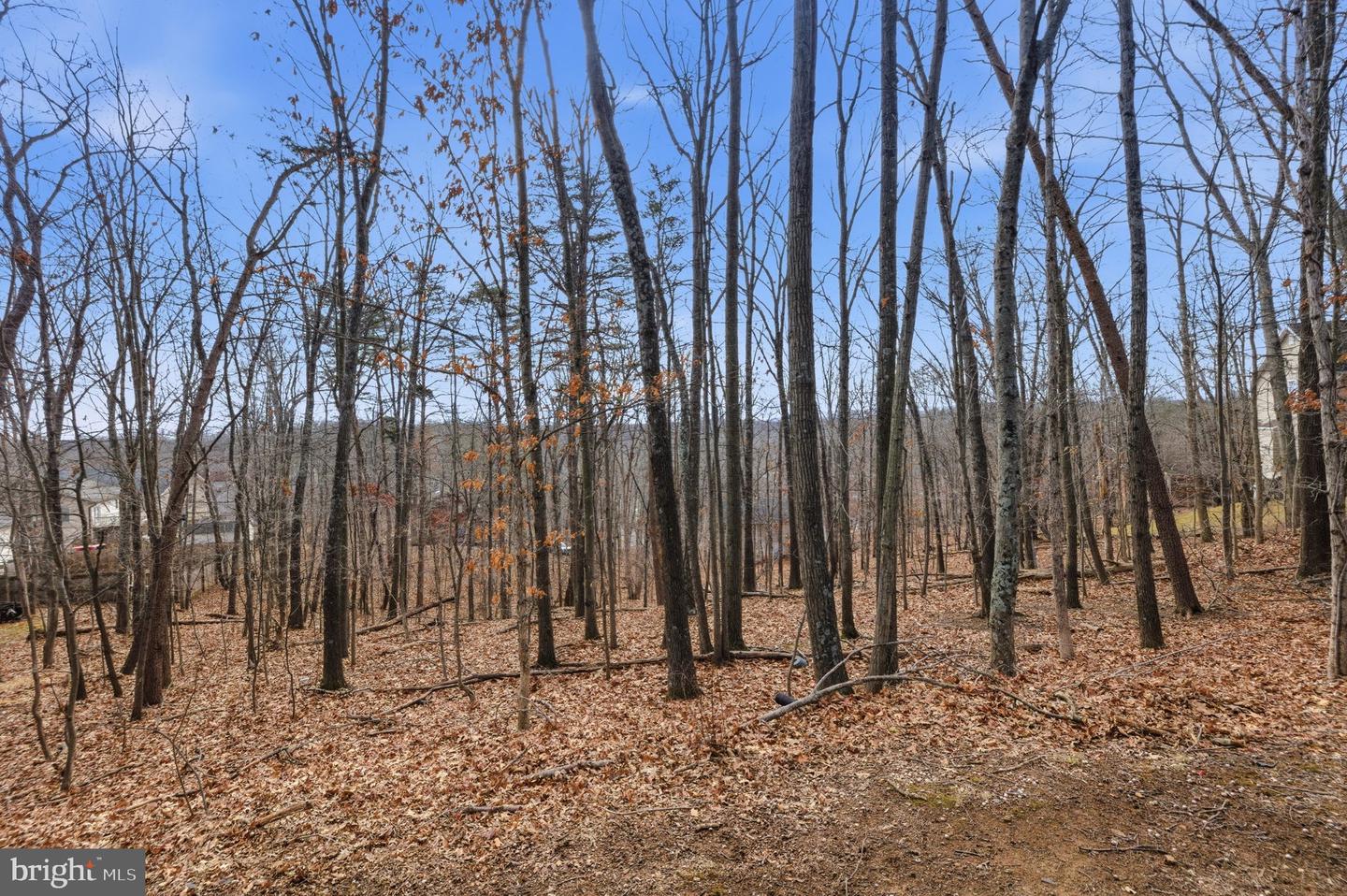 109 HILLTOP CT, CROSS JUNCTION, Virginia 22625, 3 Bedrooms Bedrooms, 7 Rooms Rooms,2 BathroomsBathrooms,Residential,For sale,109 HILLTOP CT,VAFV2039644 MLS # VAFV2039644