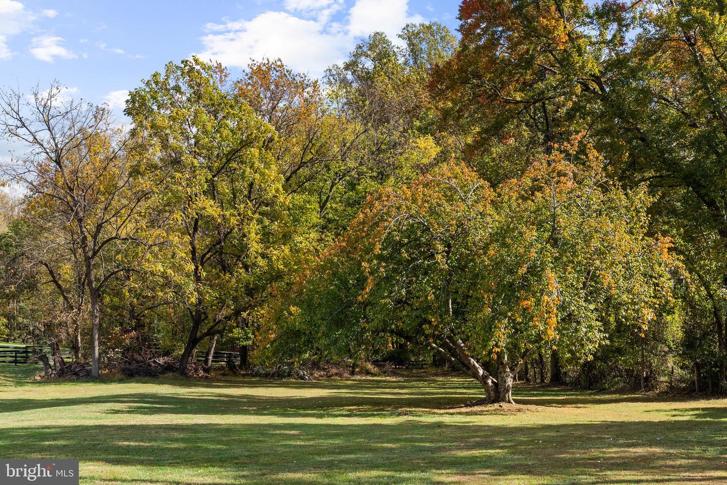 1207 TOWLSTON RD, GREAT FALLS, Virginia 22066, 6 Bedrooms Bedrooms, ,4 BathroomsBathrooms,Residential,For sale,1207 TOWLSTON RD,VAFX2291586 MLS # VAFX2291586