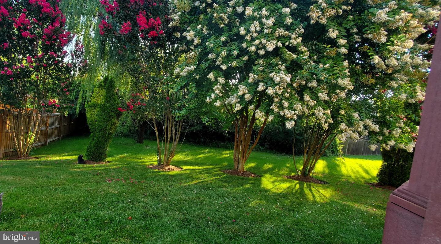 14408 TRACY SCHAR LN, CENTREVILLE, Virginia 20121, 4 Bedrooms Bedrooms, ,3 BathroomsBathrooms,Residential,For sale,14408 TRACY SCHAR LN,VAFX2291782 MLS # VAFX2291782