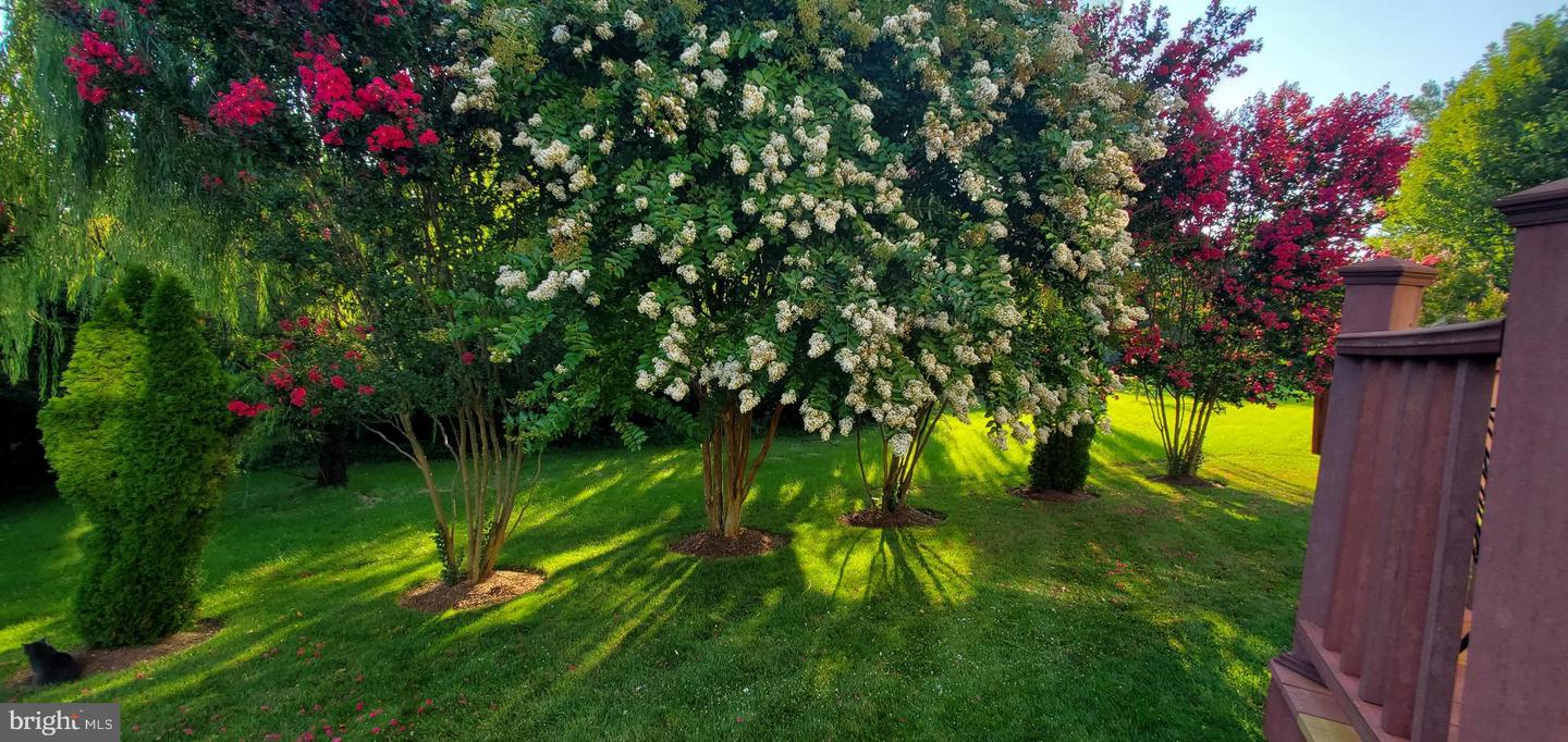 14408 TRACY SCHAR LN, CENTREVILLE, Virginia 20121, 4 Bedrooms Bedrooms, ,3 BathroomsBathrooms,Residential,For sale,14408 TRACY SCHAR LN,VAFX2291782 MLS # VAFX2291782