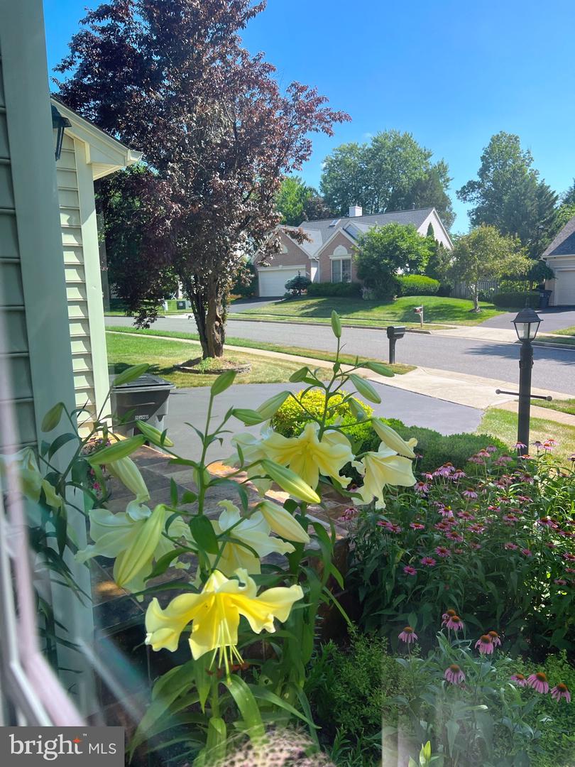 14408 TRACY SCHAR LN, CENTREVILLE, Virginia 20121, 4 Bedrooms Bedrooms, ,3 BathroomsBathrooms,Residential,For sale,14408 TRACY SCHAR LN,VAFX2291782 MLS # VAFX2291782