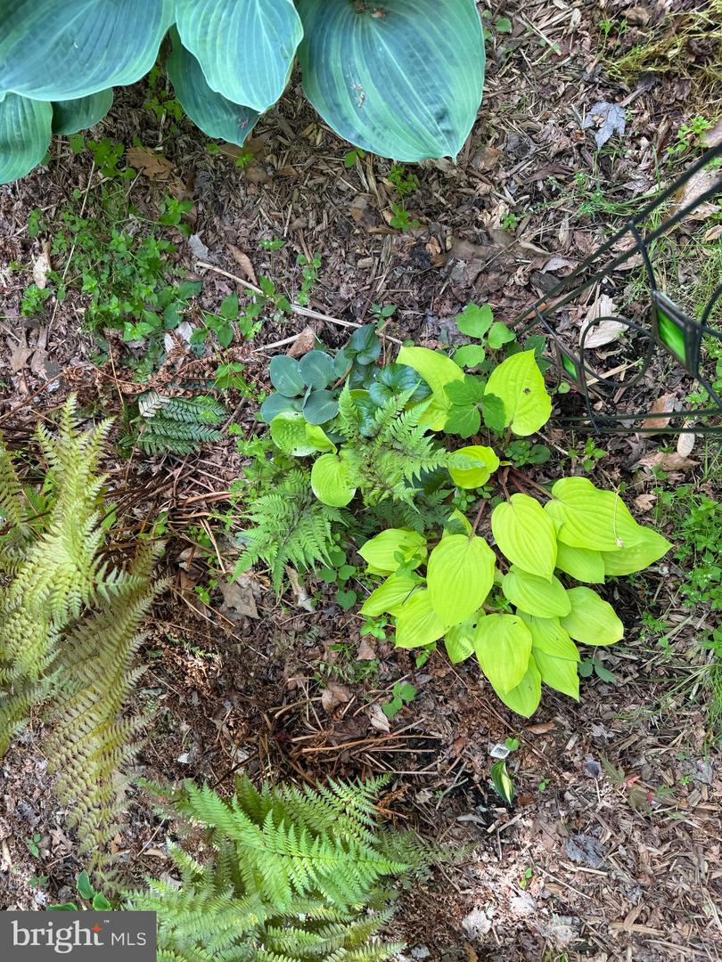 12495 MANCHESTER WAY, WOODBRIDGE, Virginia 22192, 3 Bedrooms Bedrooms, ,3 BathroomsBathrooms,Residential,For sale,12495 MANCHESTER WAY,VAPW2113312 MLS # VAPW2113312