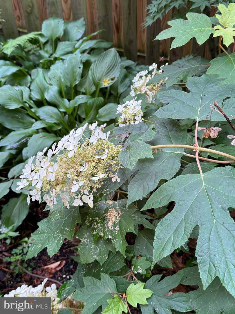 12495 MANCHESTER WAY, WOODBRIDGE, Virginia 22192, 3 Bedrooms Bedrooms, ,3 BathroomsBathrooms,Residential,For sale,12495 MANCHESTER WAY,VAPW2113312 MLS # VAPW2113312