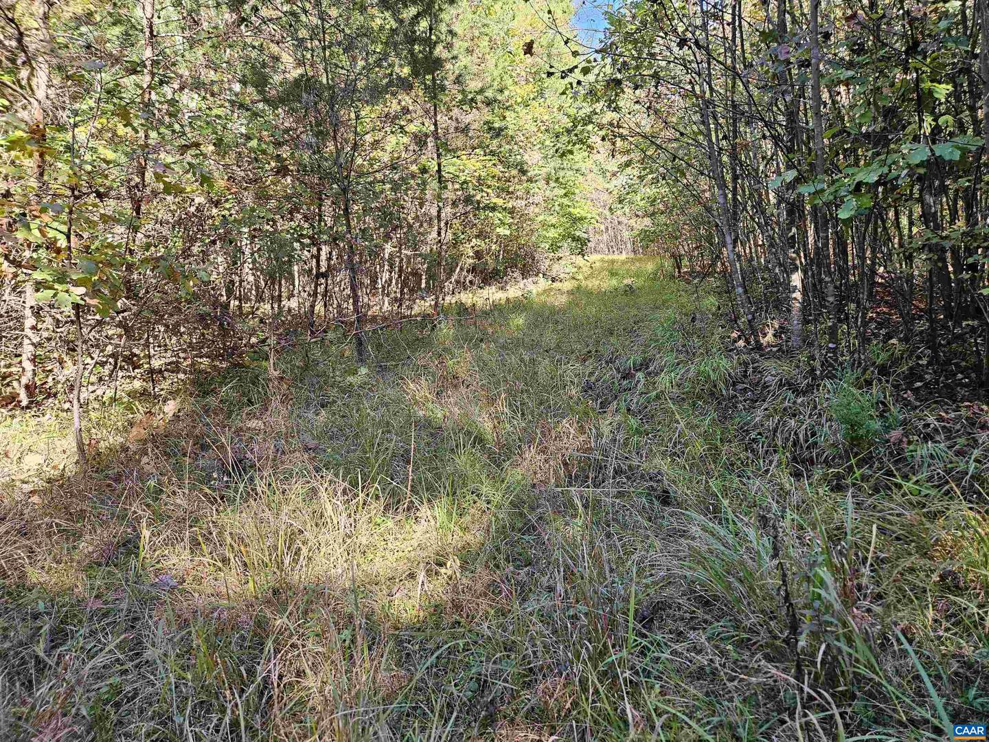 10239 HOWARDSVILLE RD, HOWARDSVILLE, Virginia 24562, 2 Bedrooms Bedrooms, ,1 BathroomBathrooms,Residential,For sale,10239 HOWARDSVILLE RD,673720 MLS # 673720