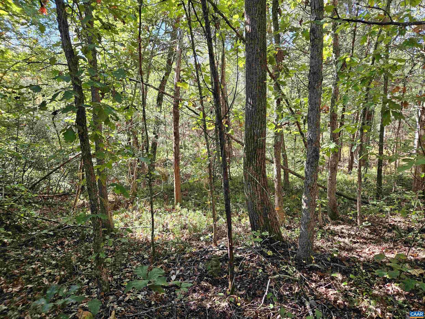 10239 HOWARDSVILLE RD, HOWARDSVILLE, Virginia 24562, 2 Bedrooms Bedrooms, ,1 BathroomBathrooms,Residential,For sale,10239 HOWARDSVILLE RD,673720 MLS # 673720