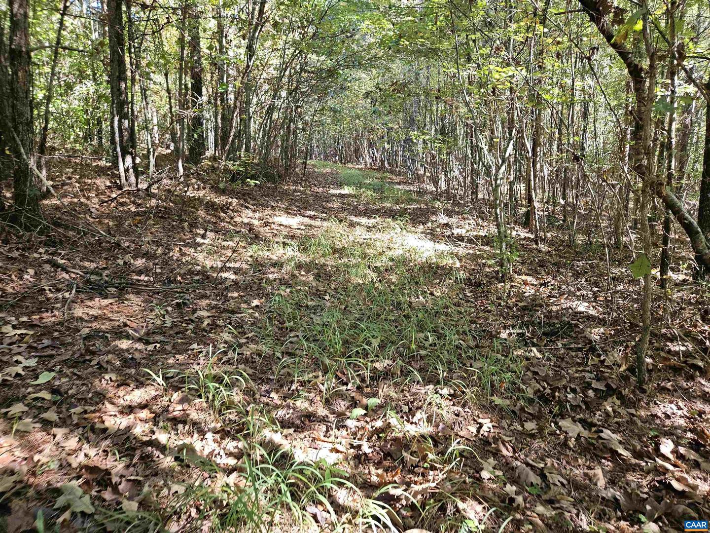 10239 HOWARDSVILLE RD, HOWARDSVILLE, Virginia 24562, 2 Bedrooms Bedrooms, ,1 BathroomBathrooms,Residential,For sale,10239 HOWARDSVILLE RD,673720 MLS # 673720