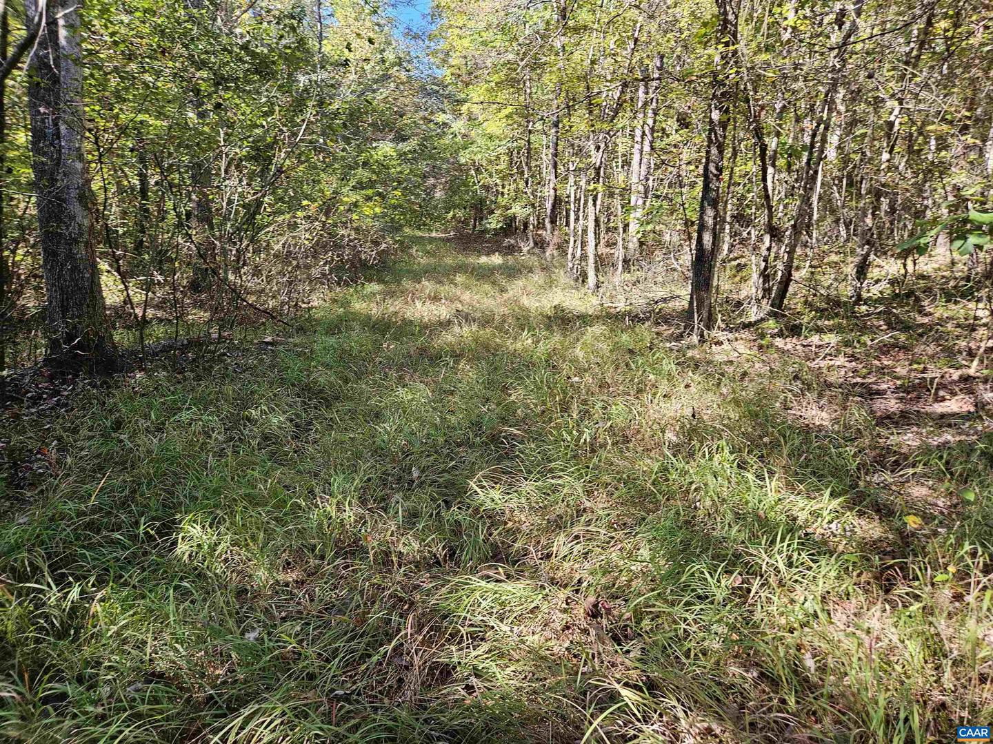 10239 HOWARDSVILLE RD, HOWARDSVILLE, Virginia 24562, 2 Bedrooms Bedrooms, ,1 BathroomBathrooms,Residential,For sale,10239 HOWARDSVILLE RD,673720 MLS # 673720